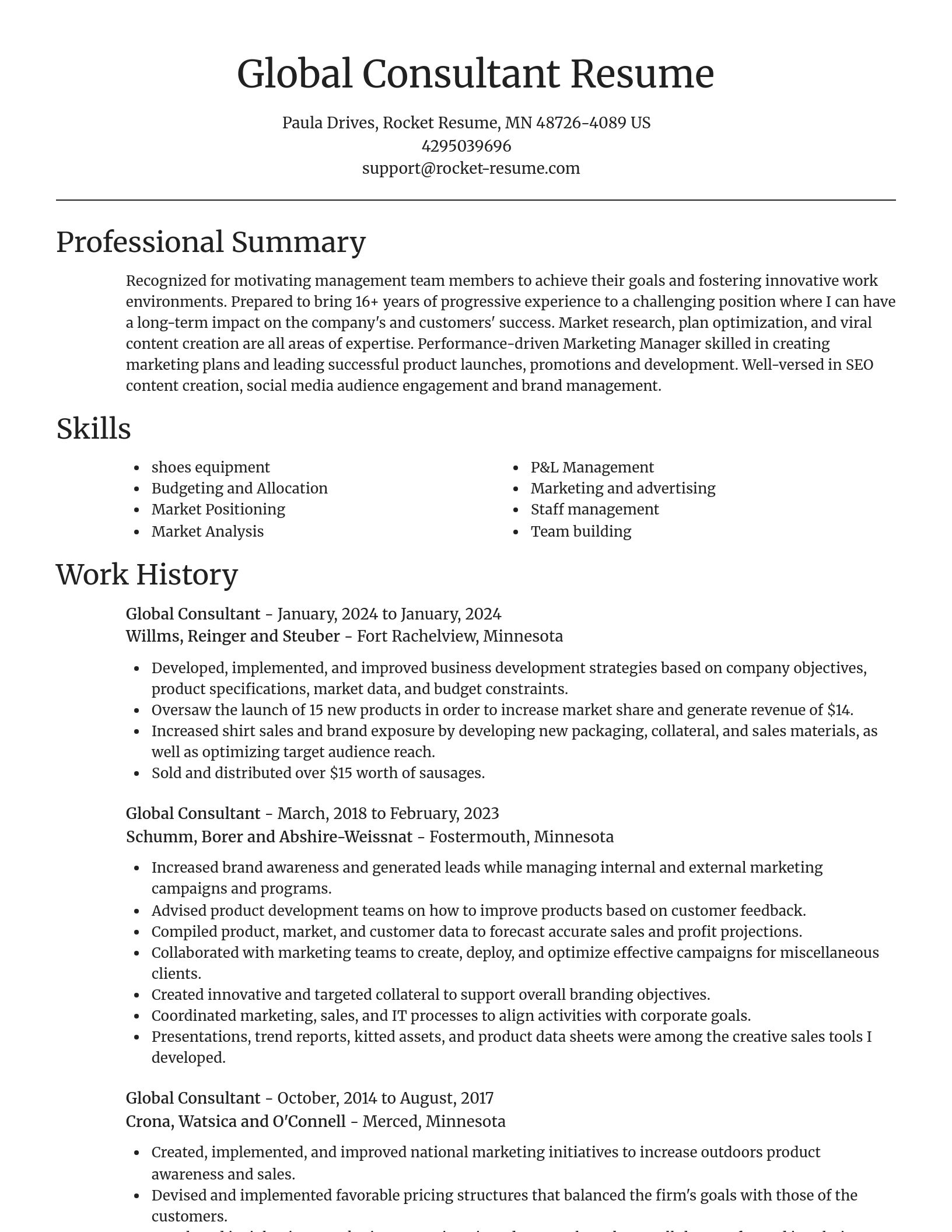 Focal Point resume template