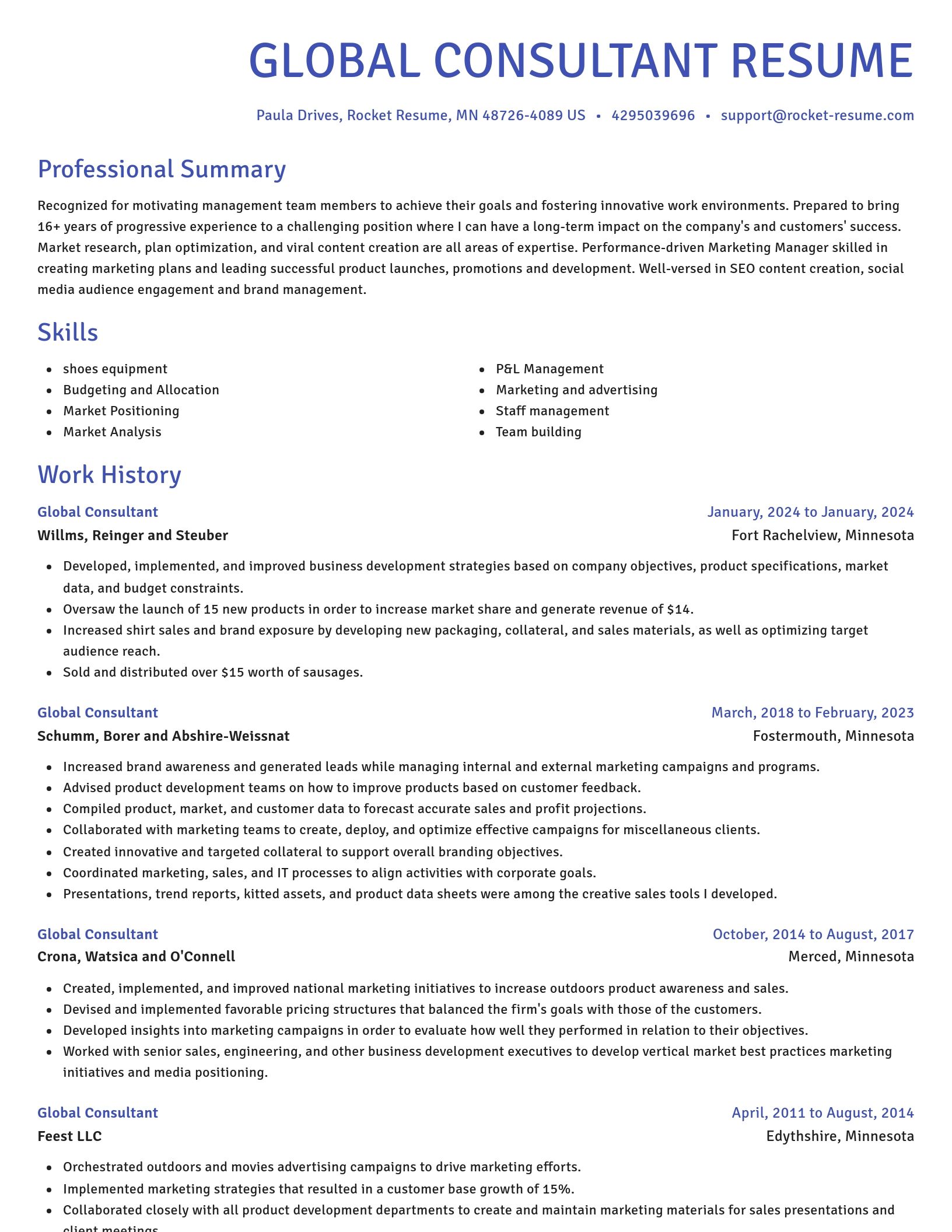 Novel resume template