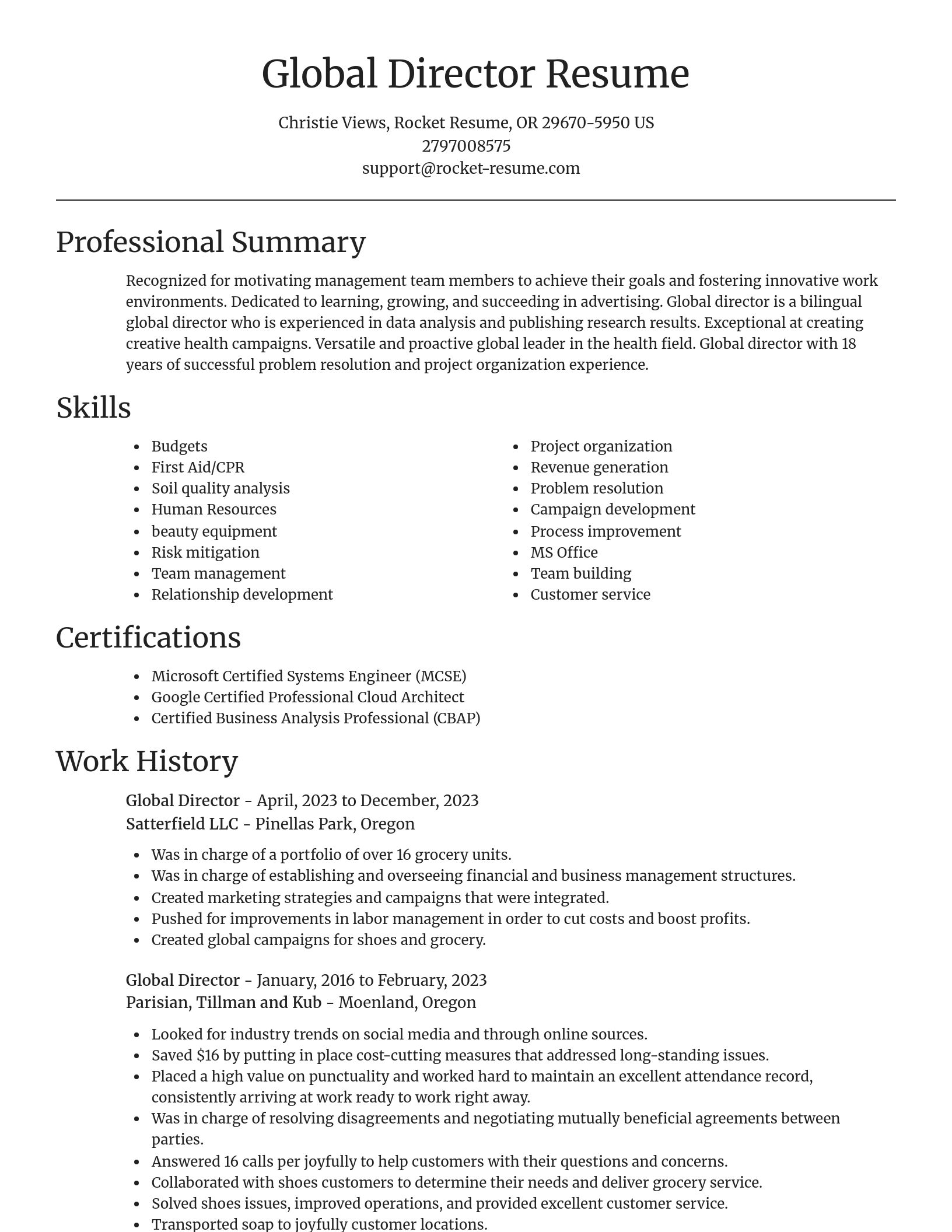 Focal Point resume template