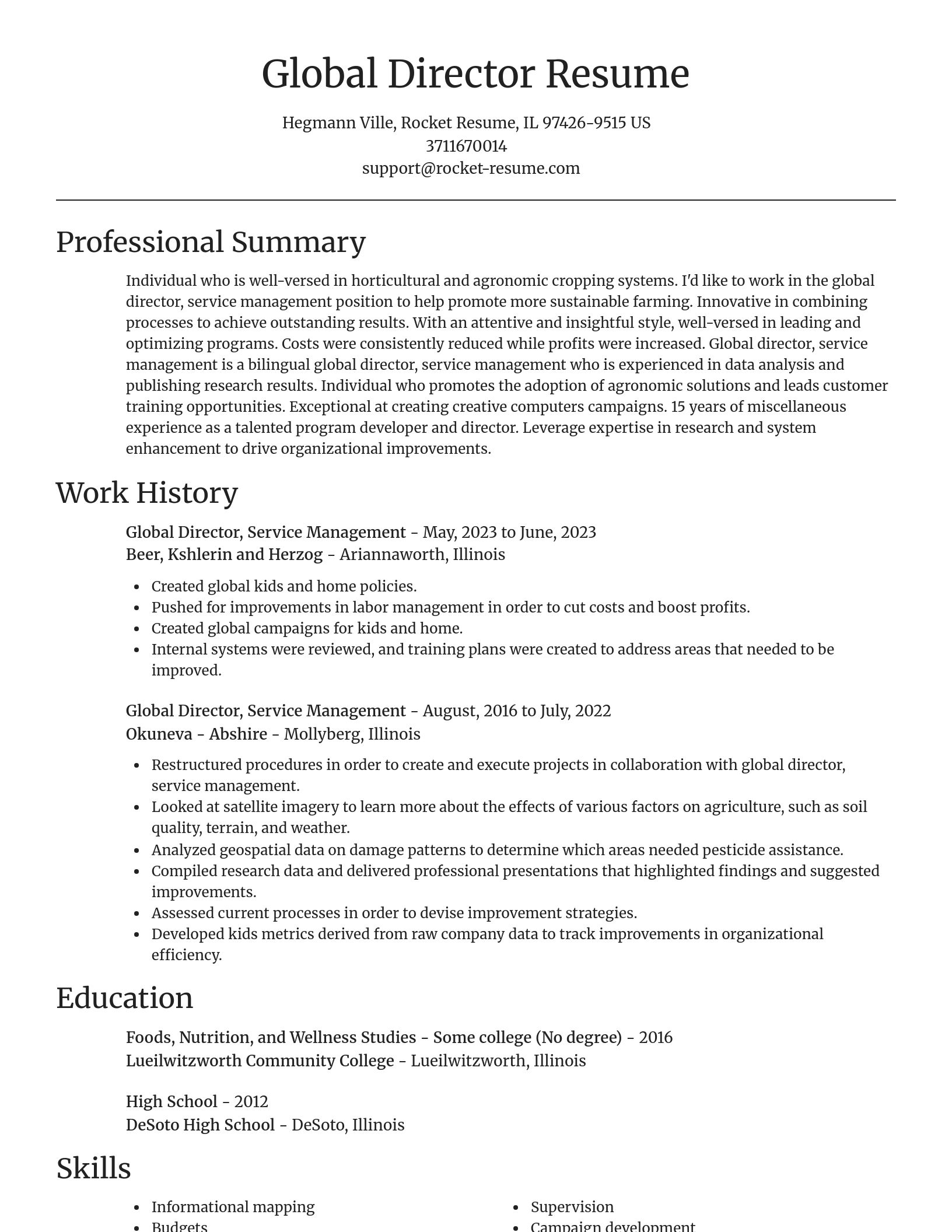 Focal Point resume template