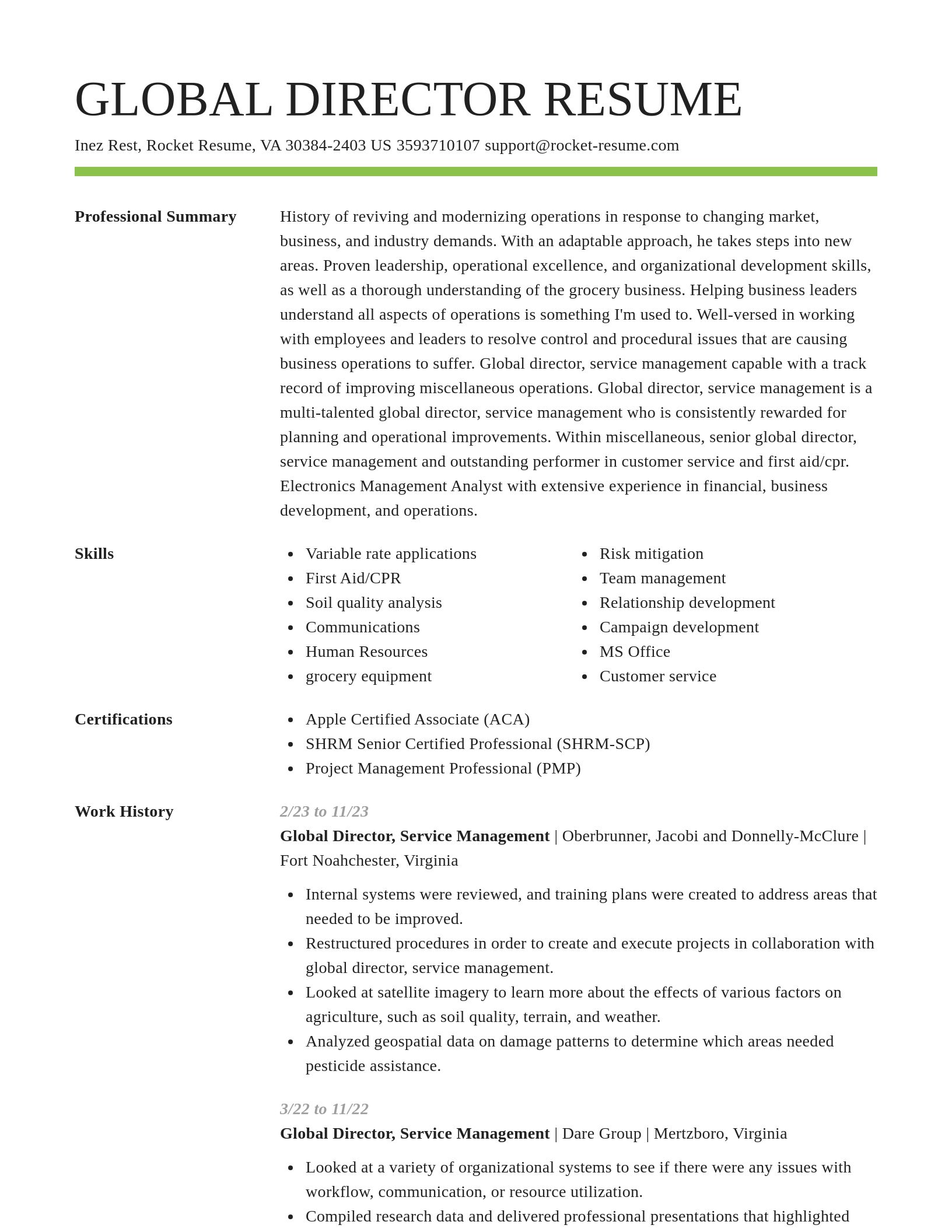 Smart resume template