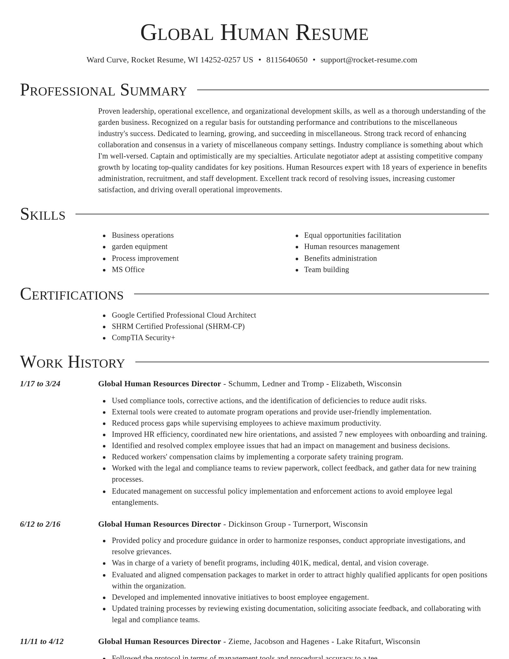 Director resume template