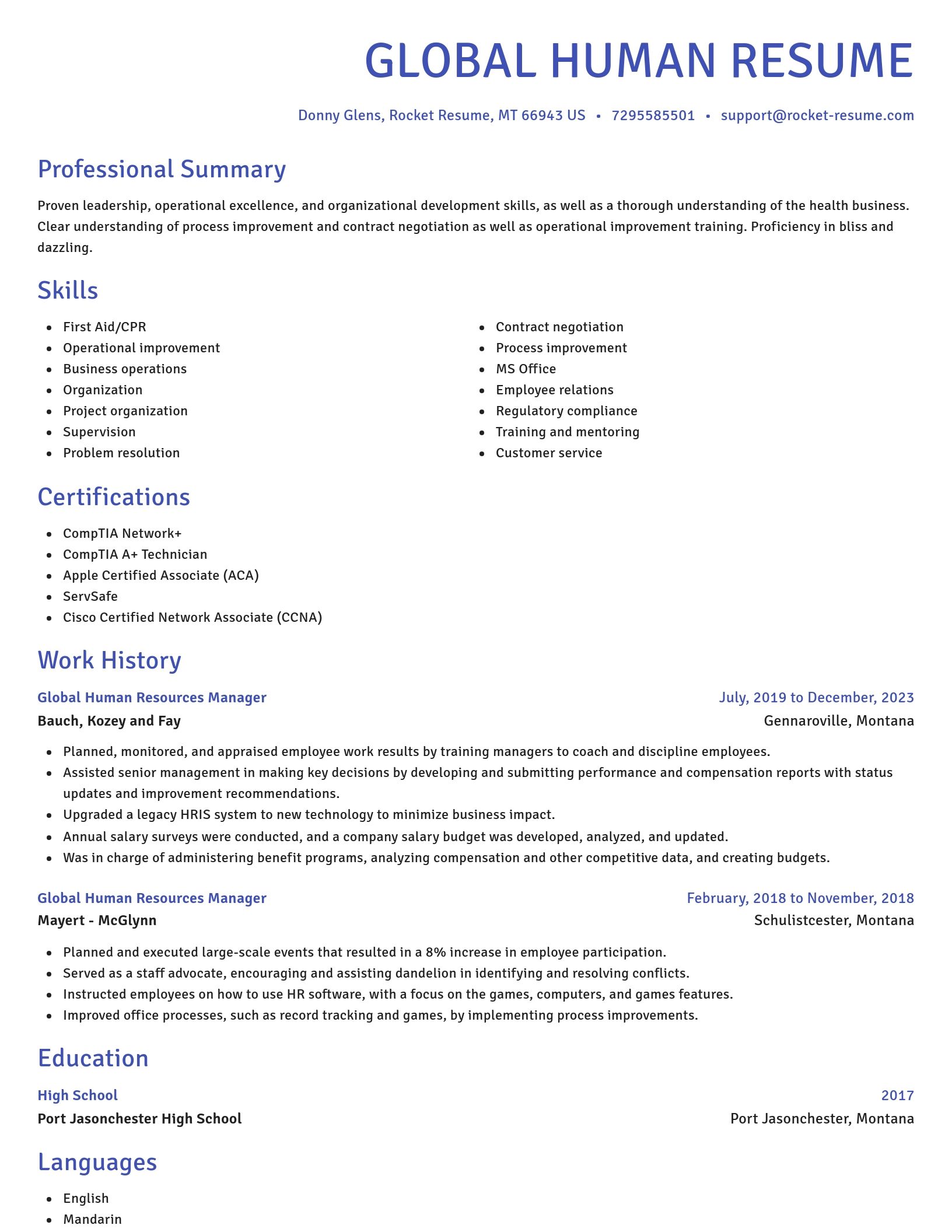 Novel resume template
