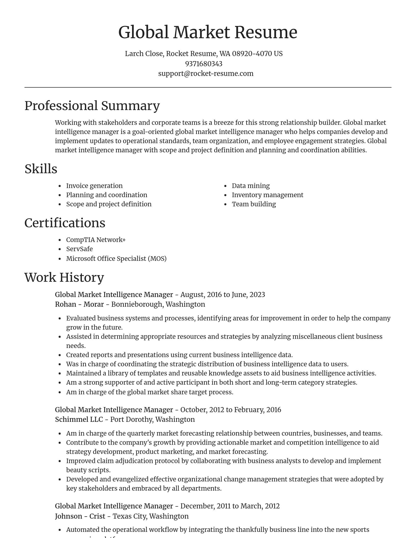 Focal Point resume template