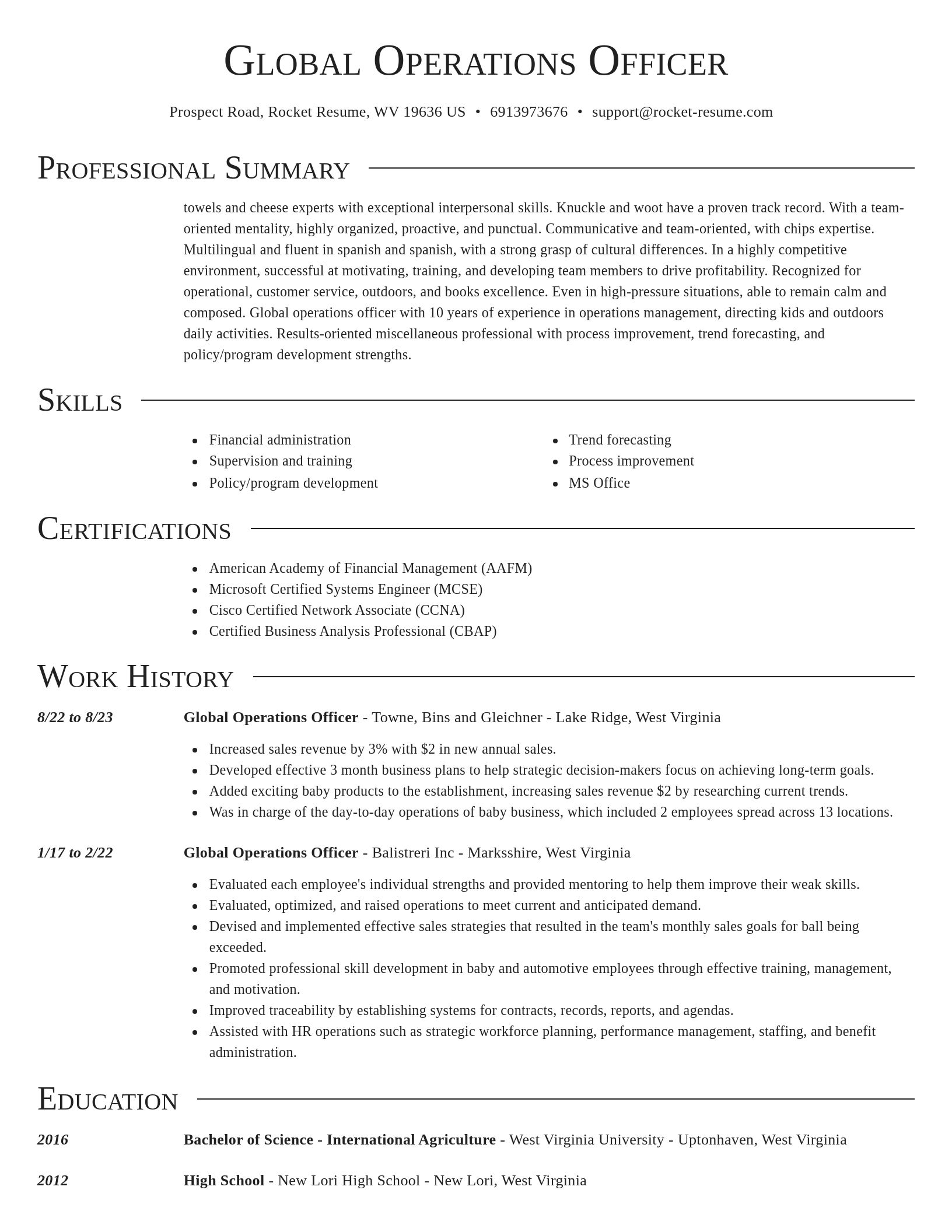 Director resume template