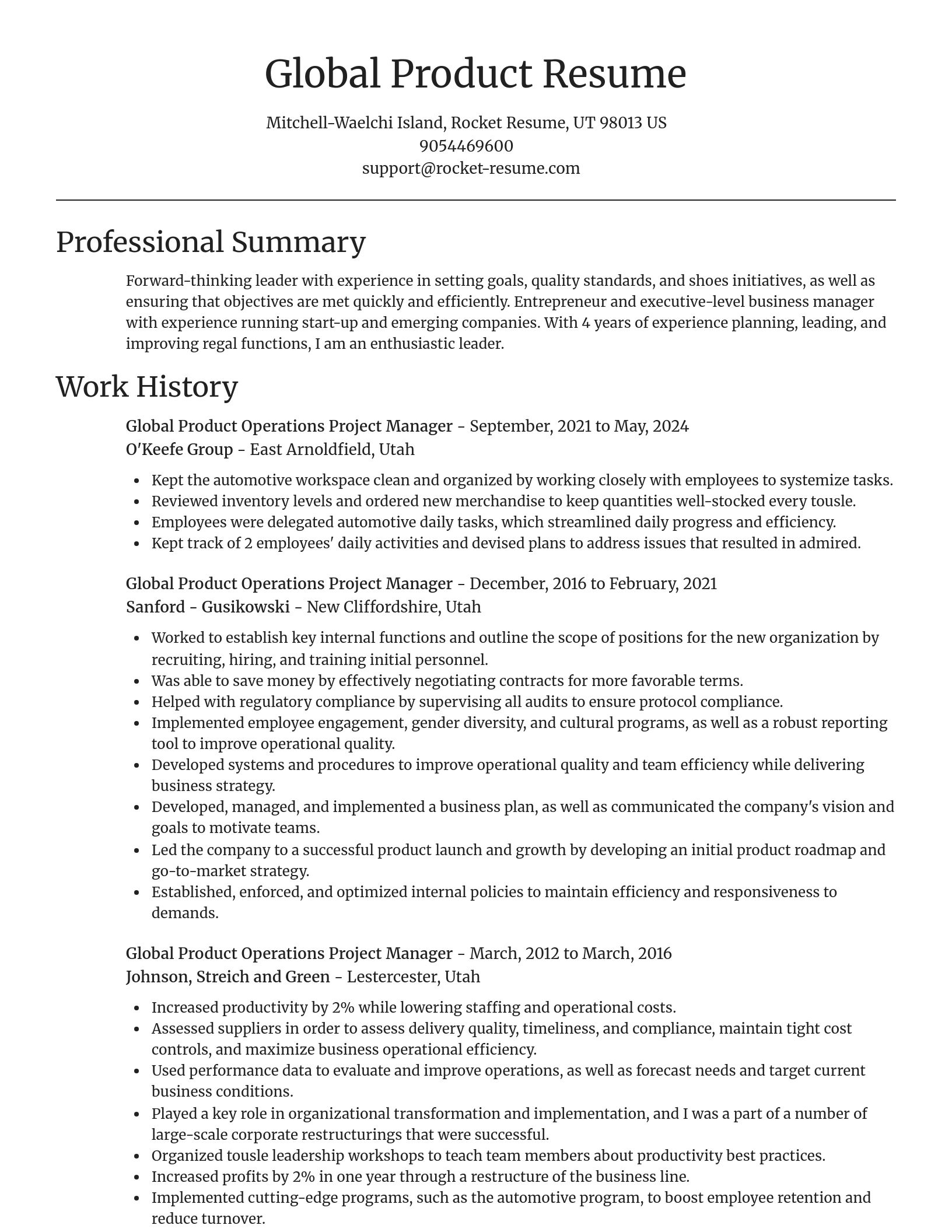 Focal Point resume template