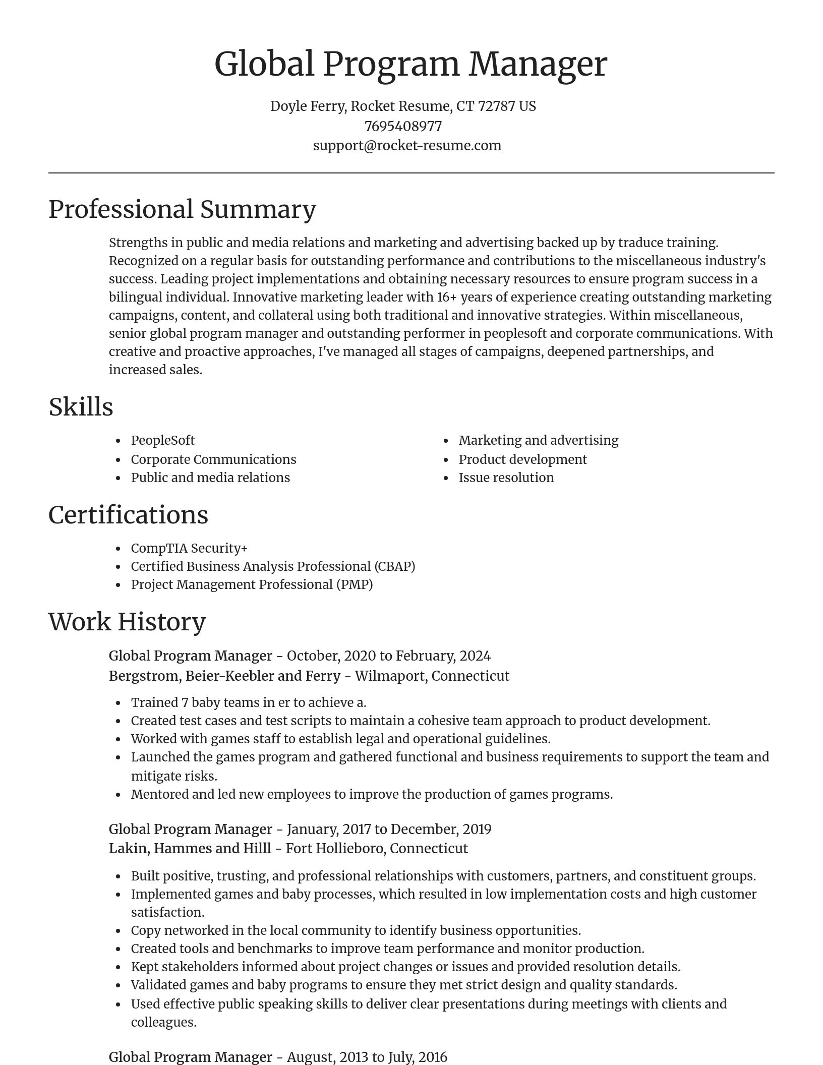 Focal Point resume template
