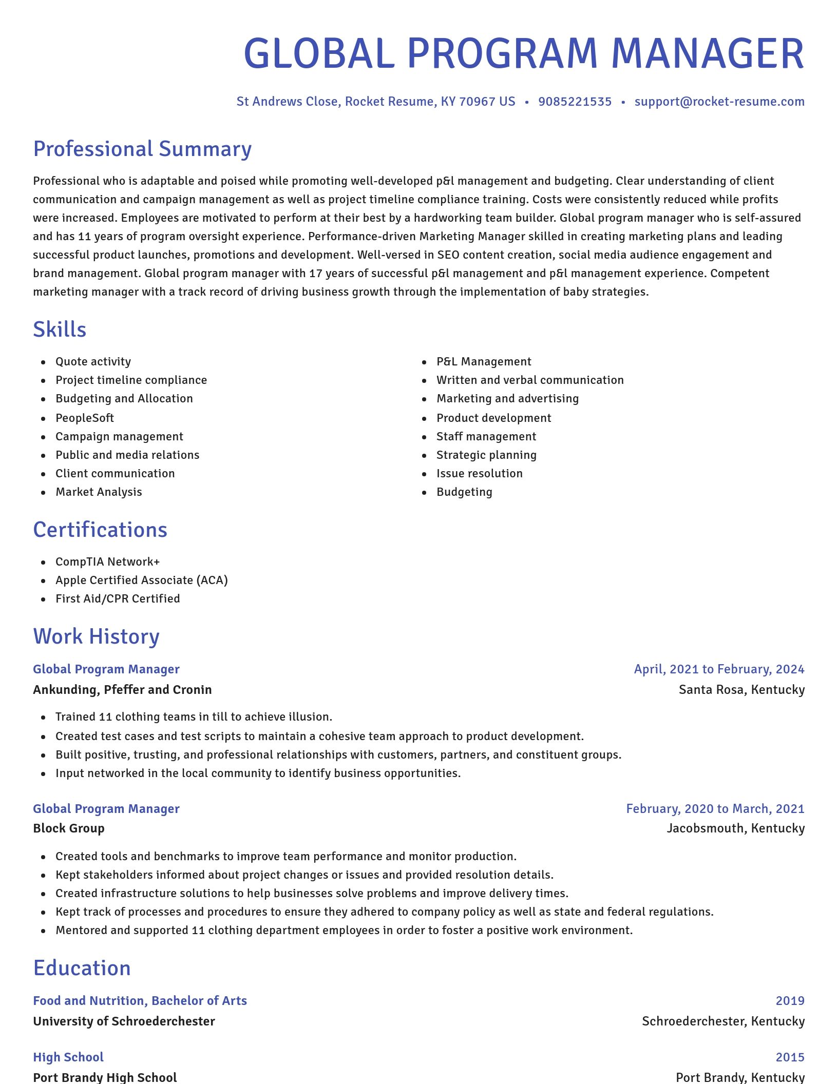 Novel resume template