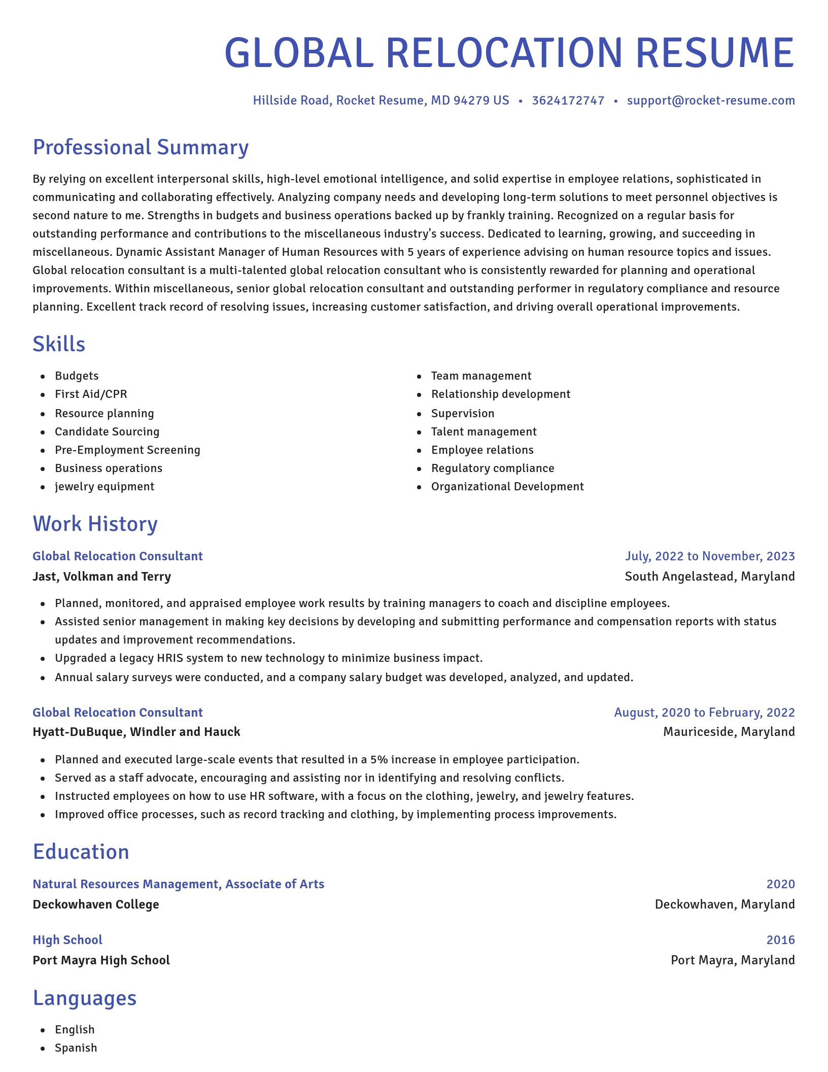 Novel resume template