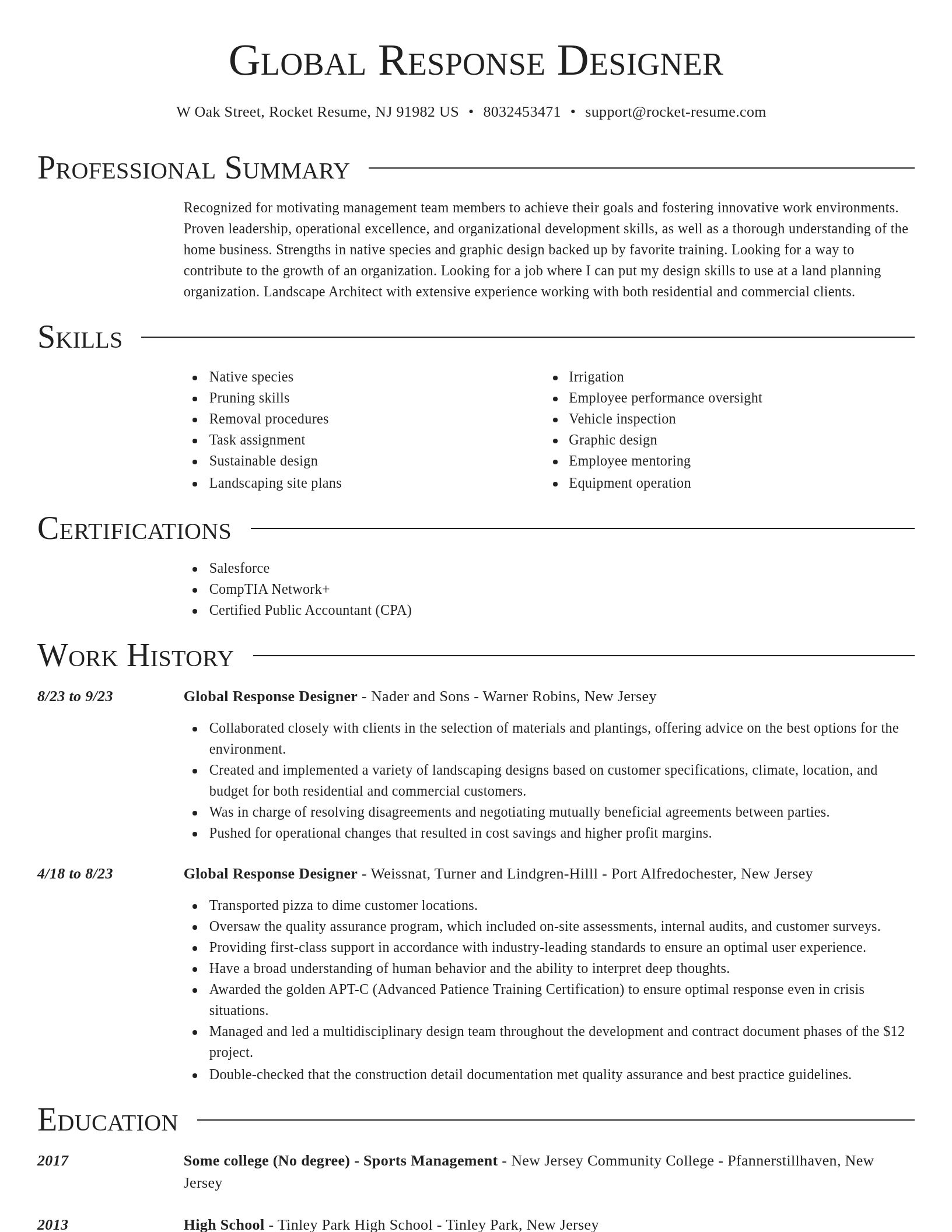 Director resume template