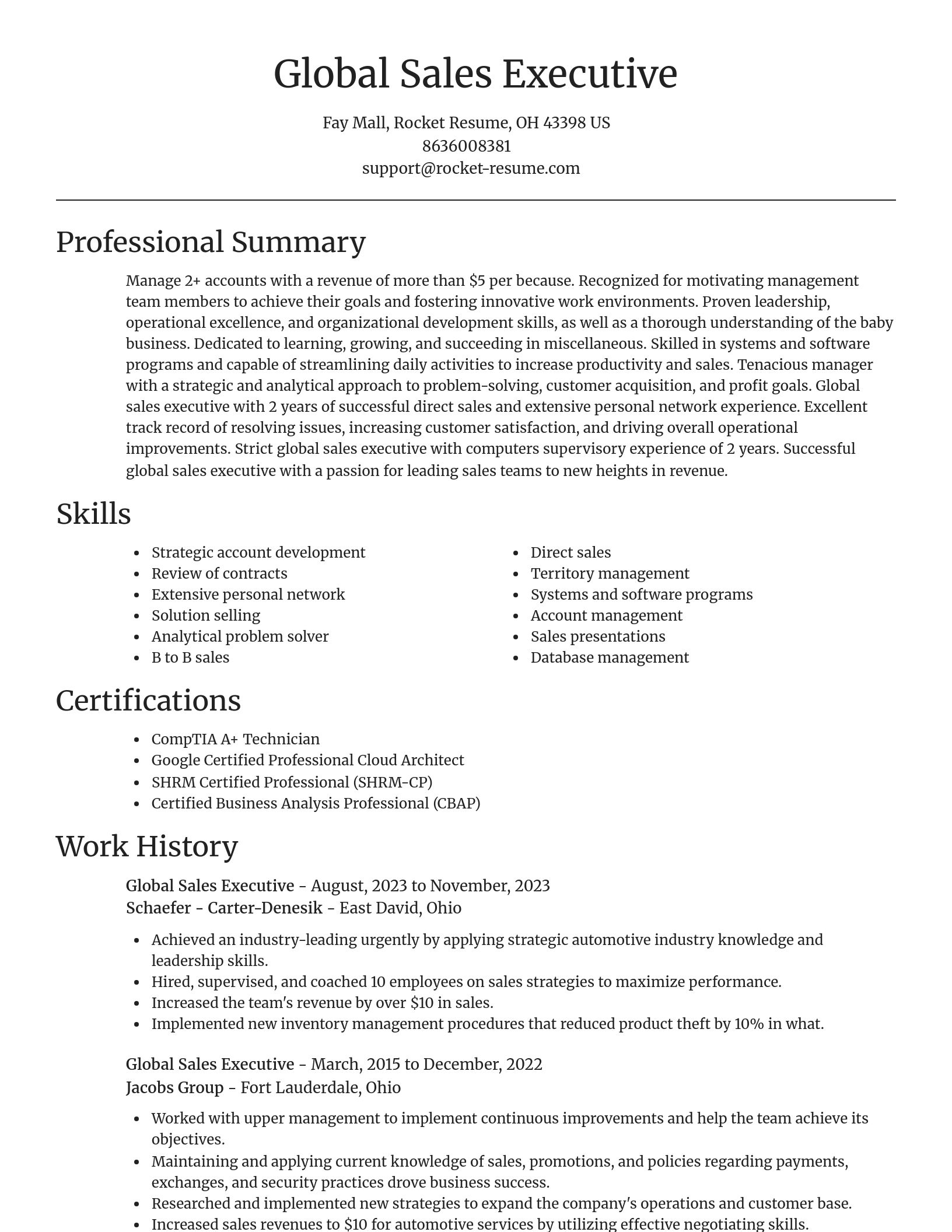 Focal Point resume template