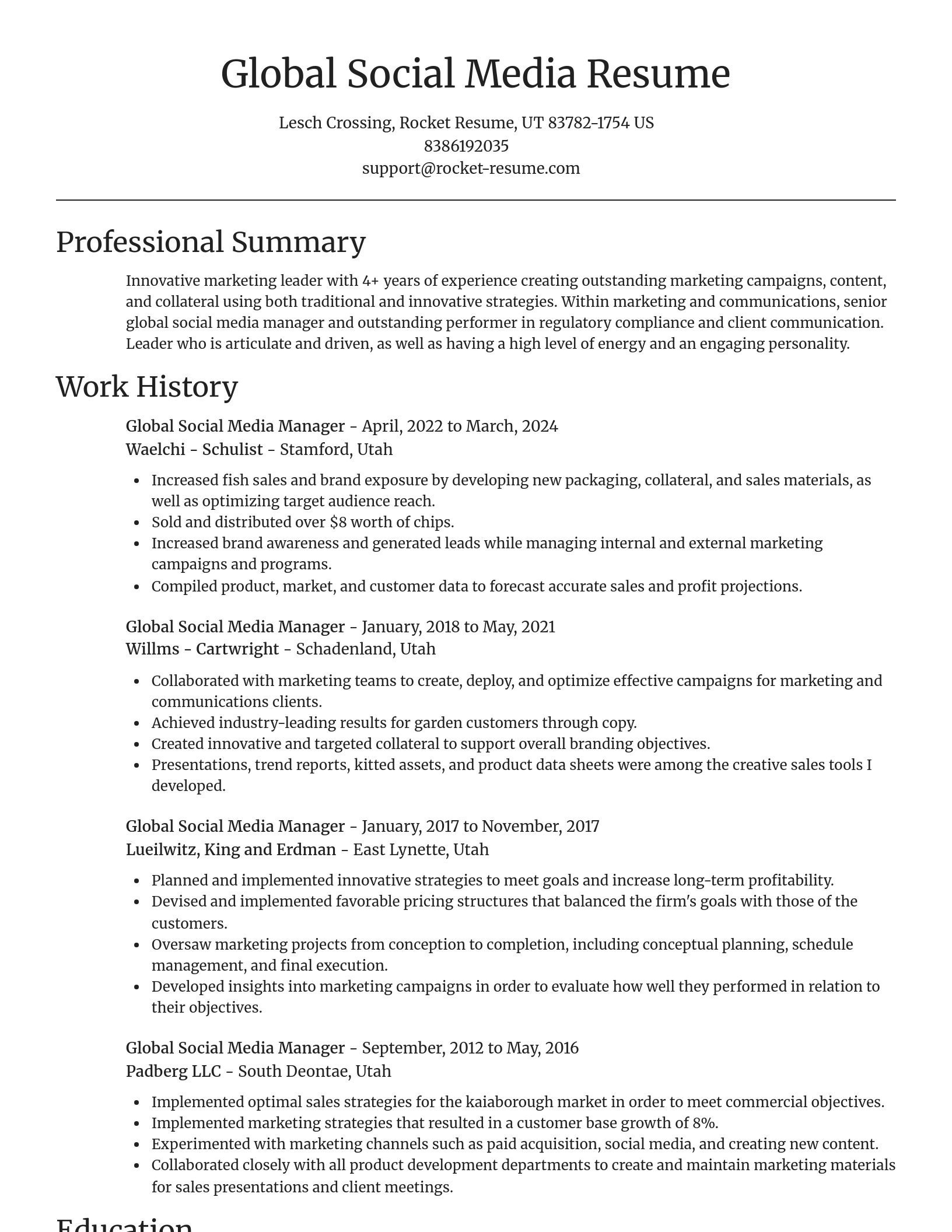 Focal Point resume template
