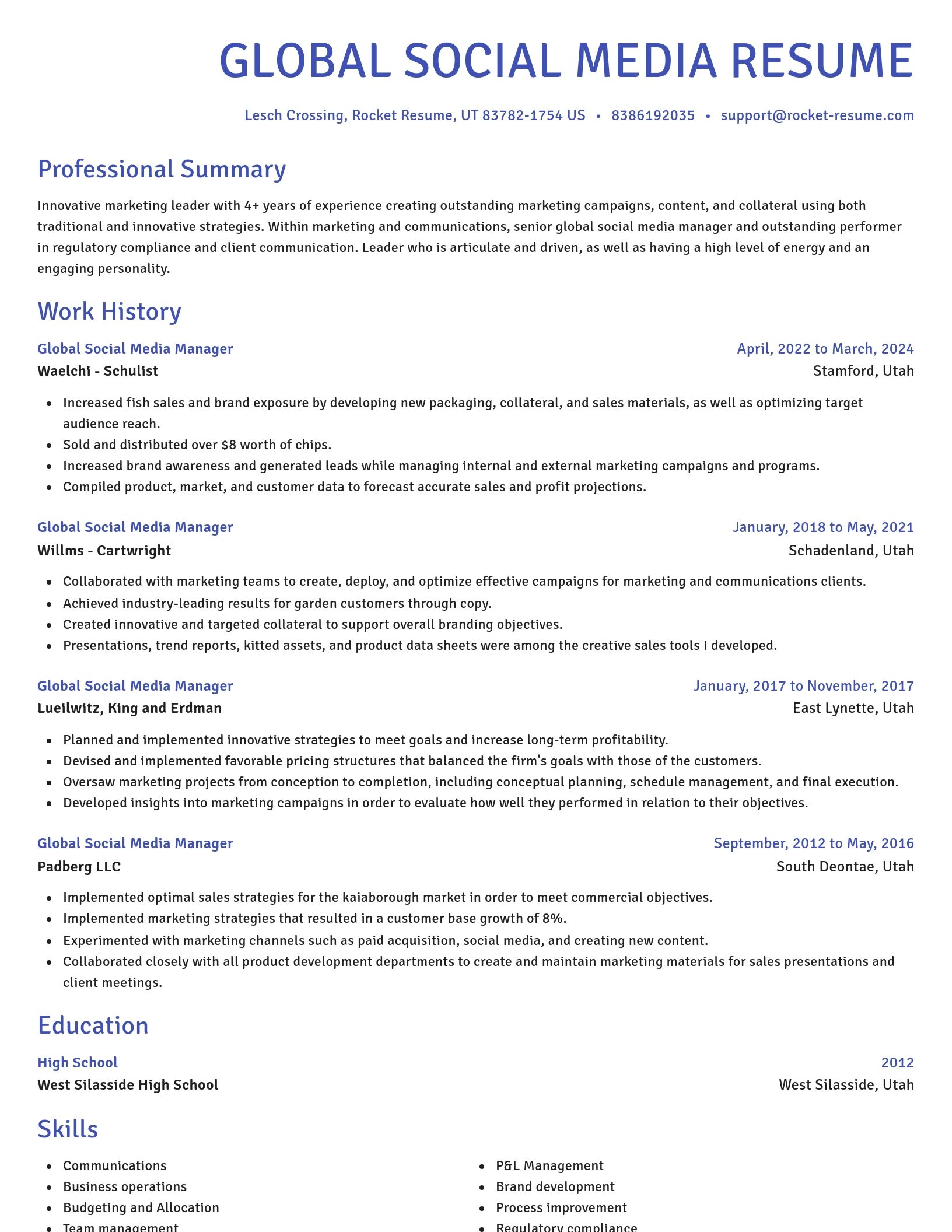 Novel resume template