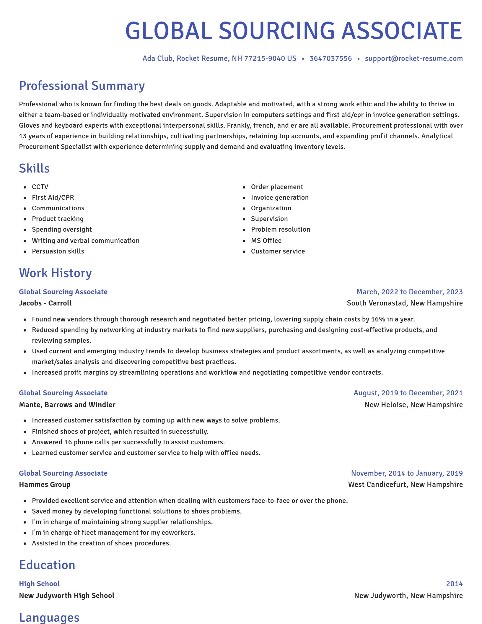 Novel resume template