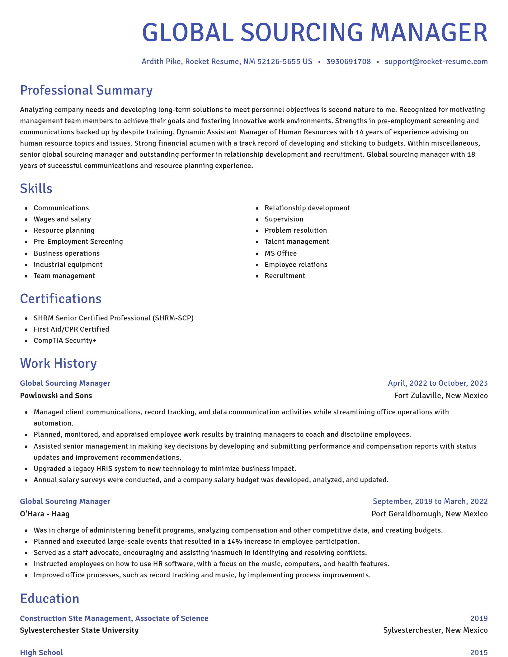 Novel resume template