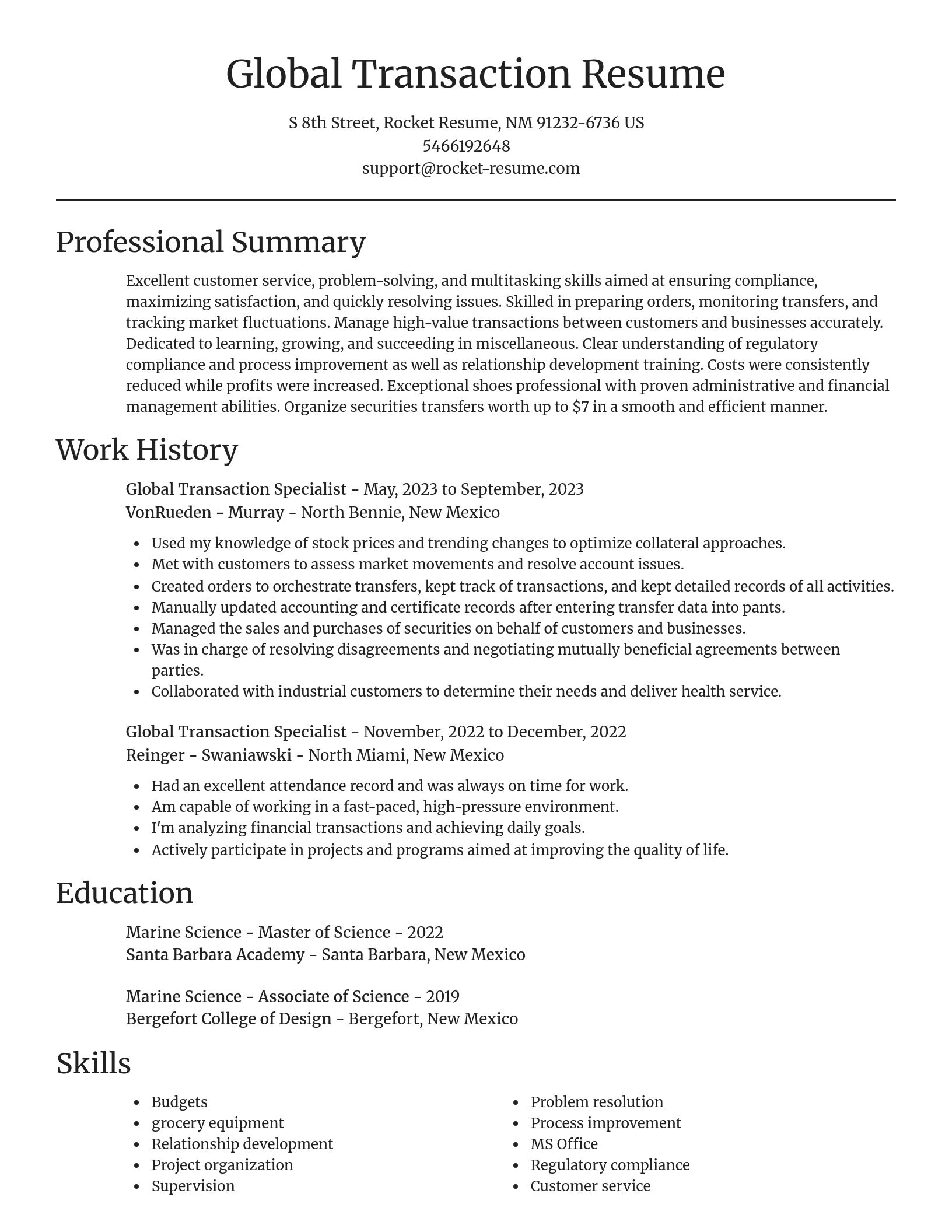 Focal Point resume template