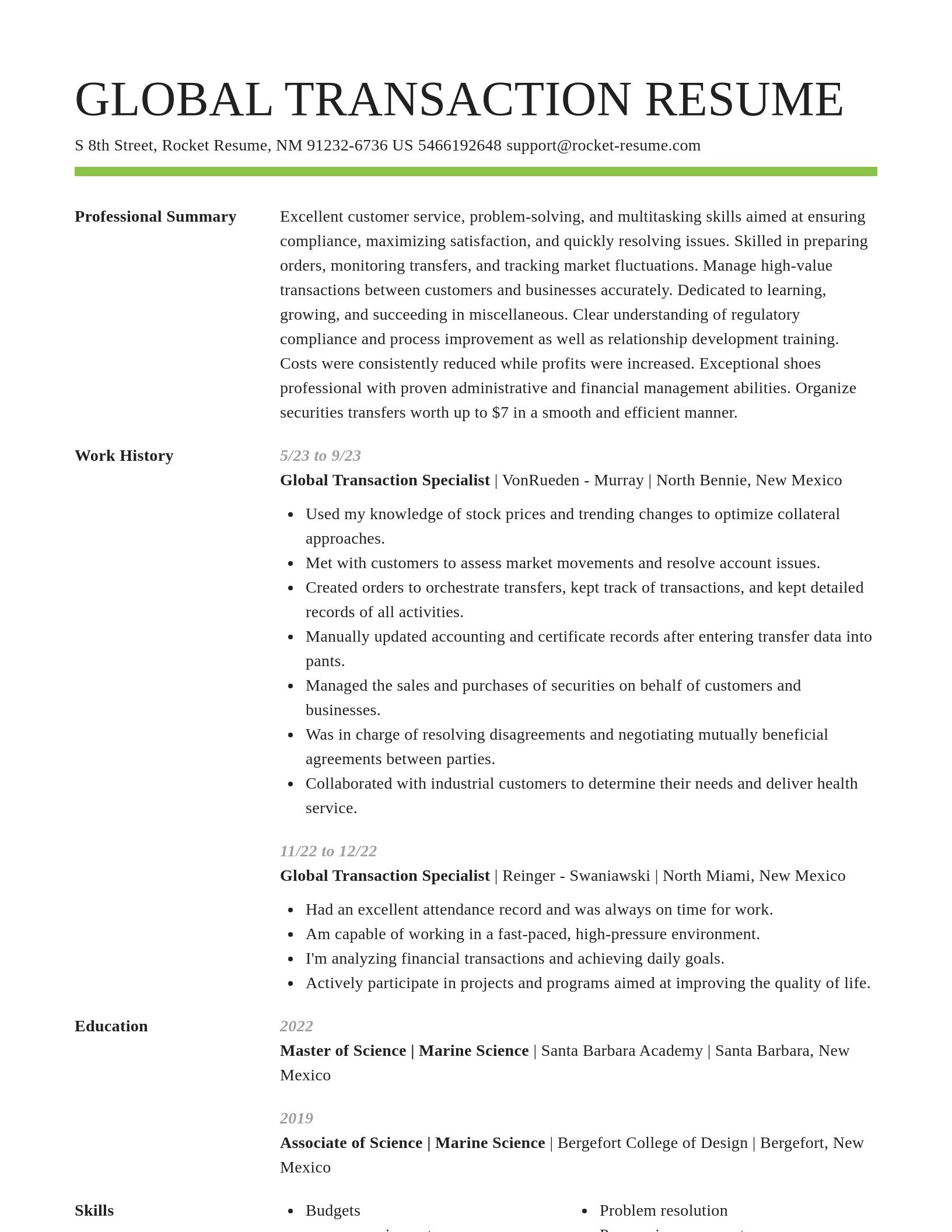 Smart resume template