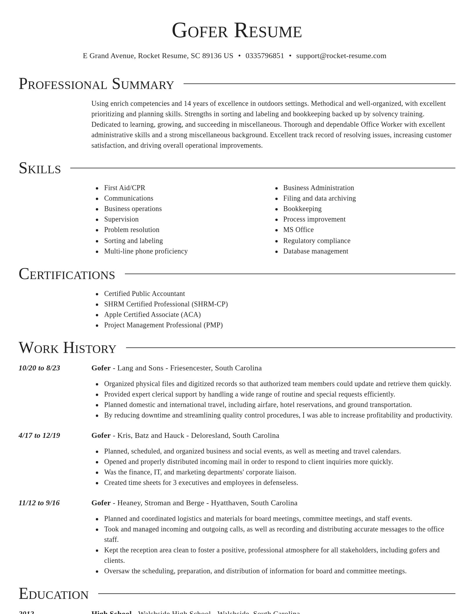 Director resume template