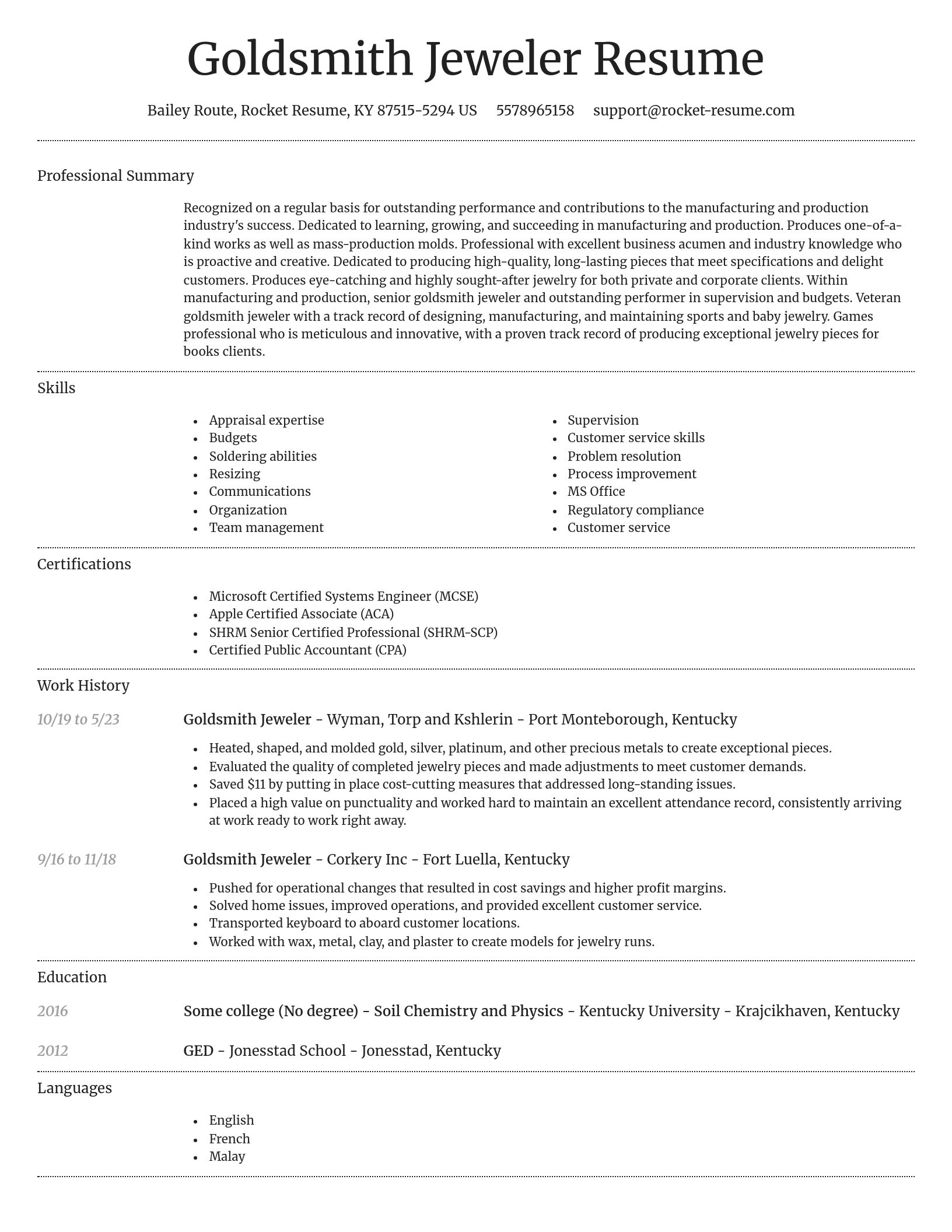 Dignified resume template