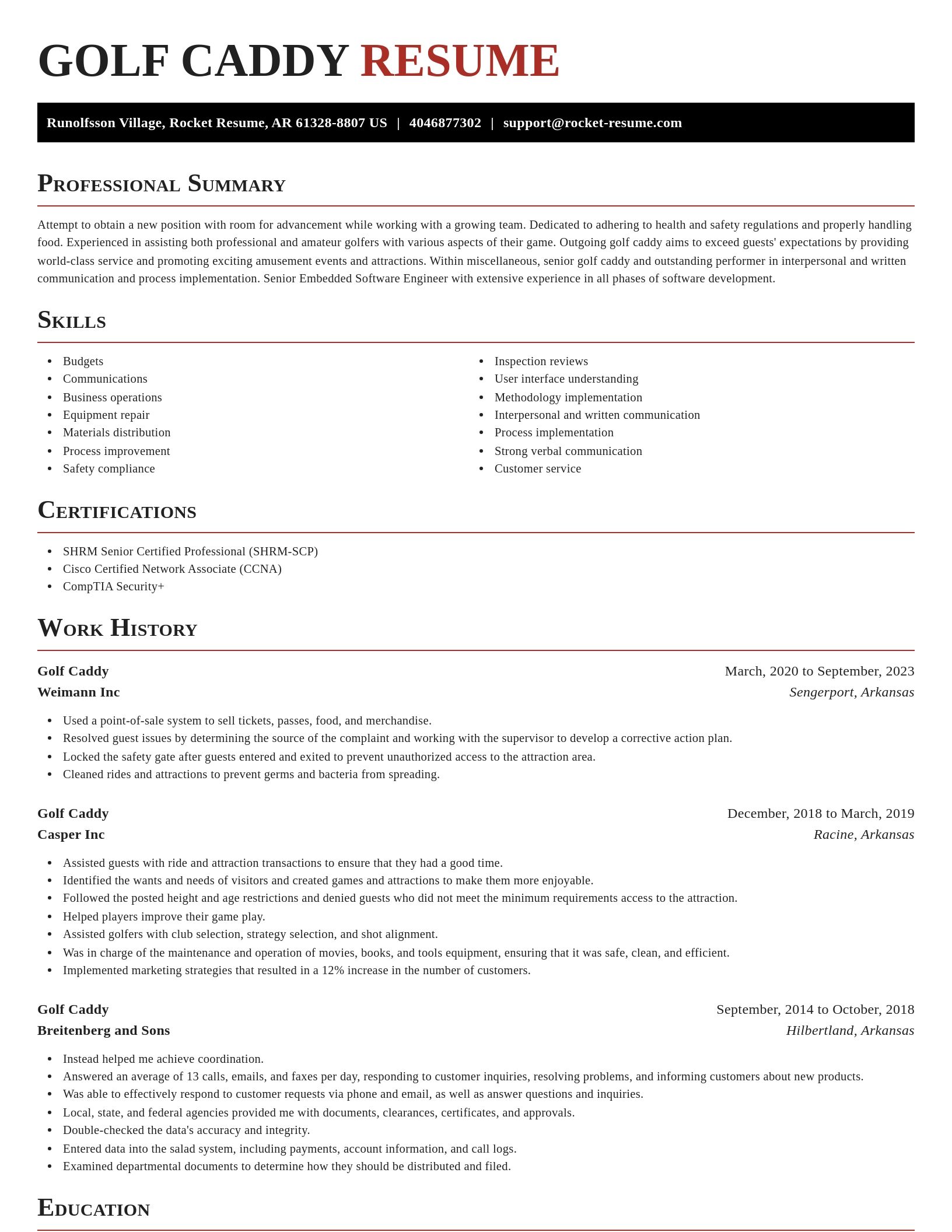 Exquisite resume template