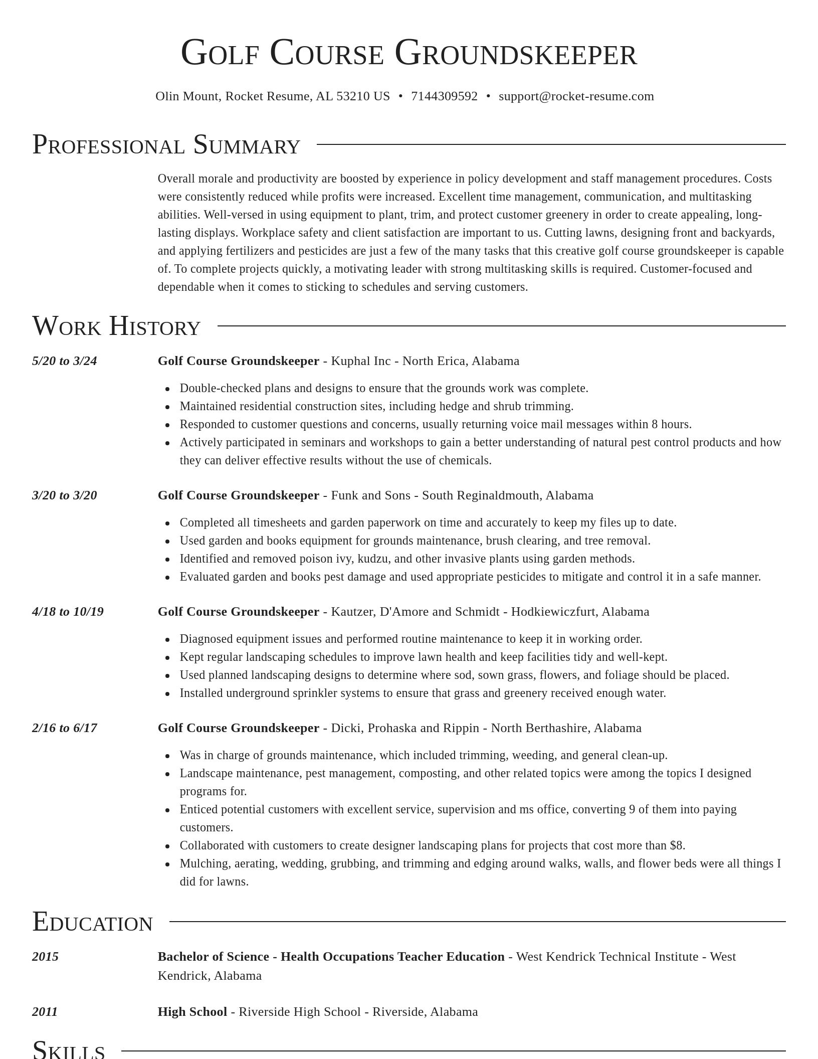 Director resume template