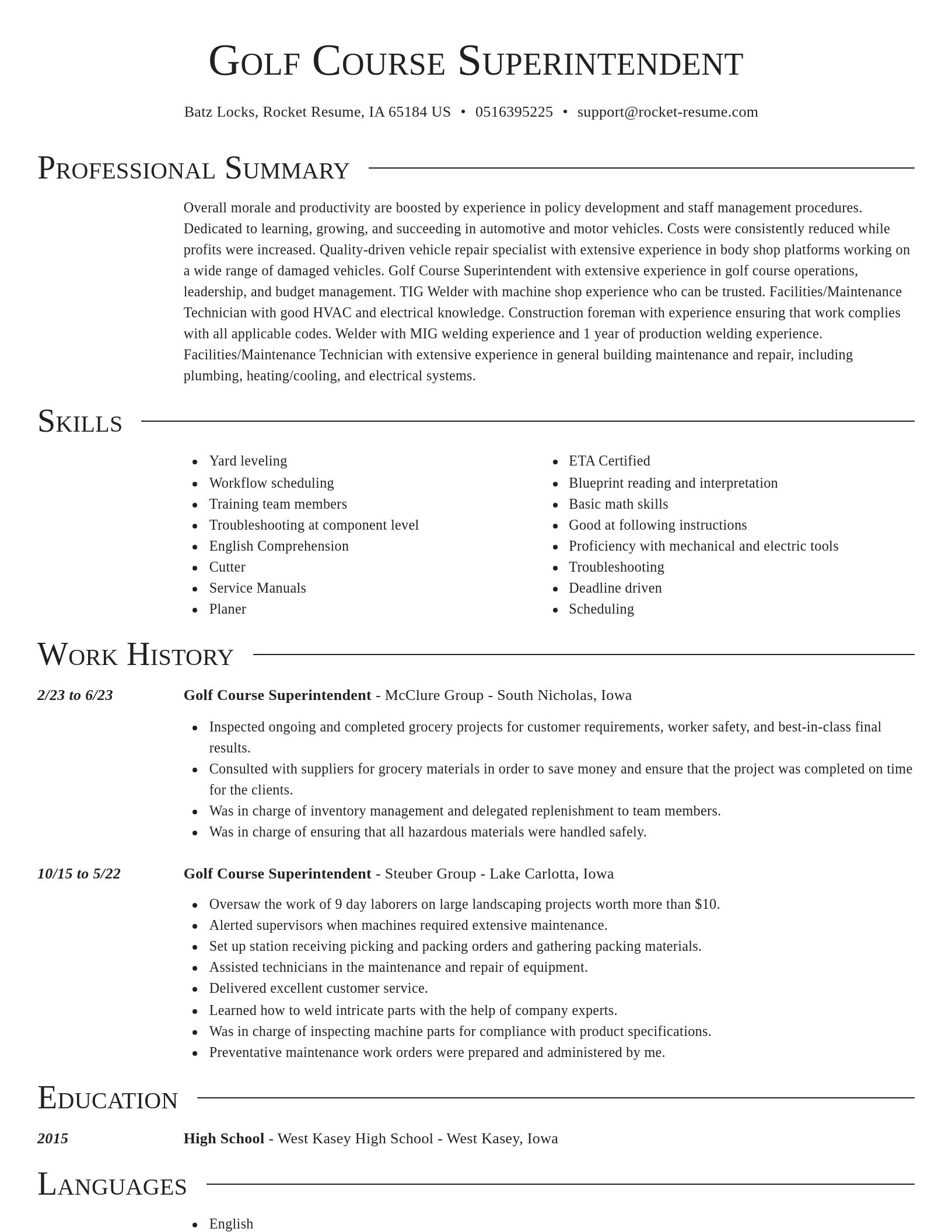 Director resume template
