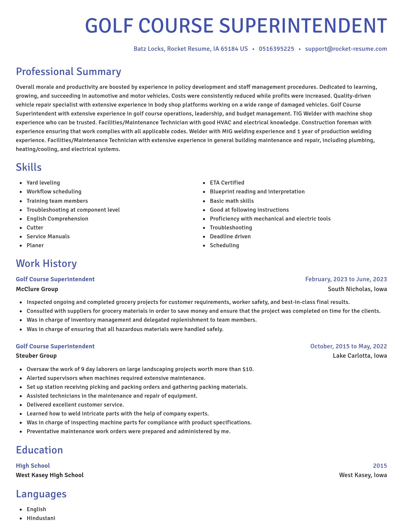 Novel resume template