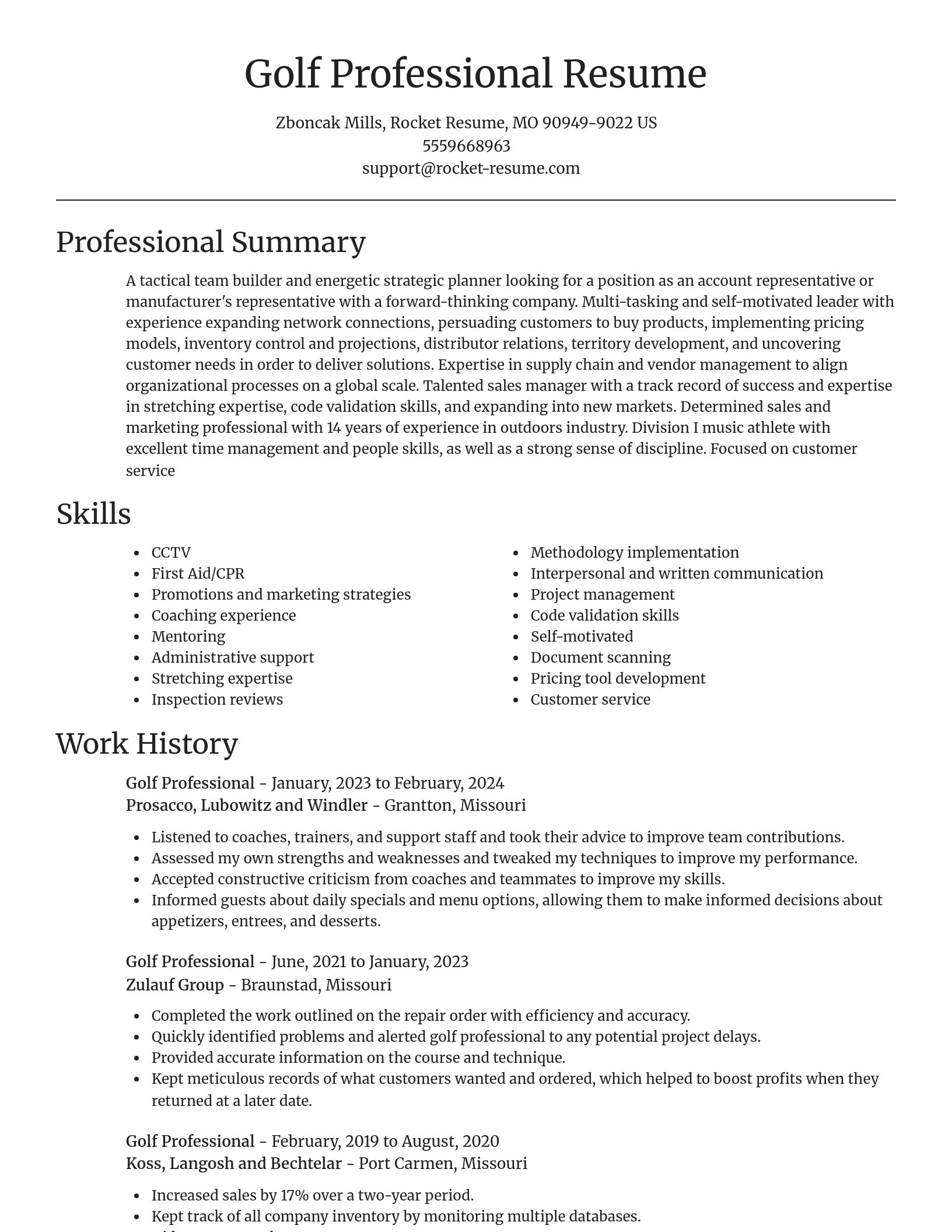 Focal Point resume template