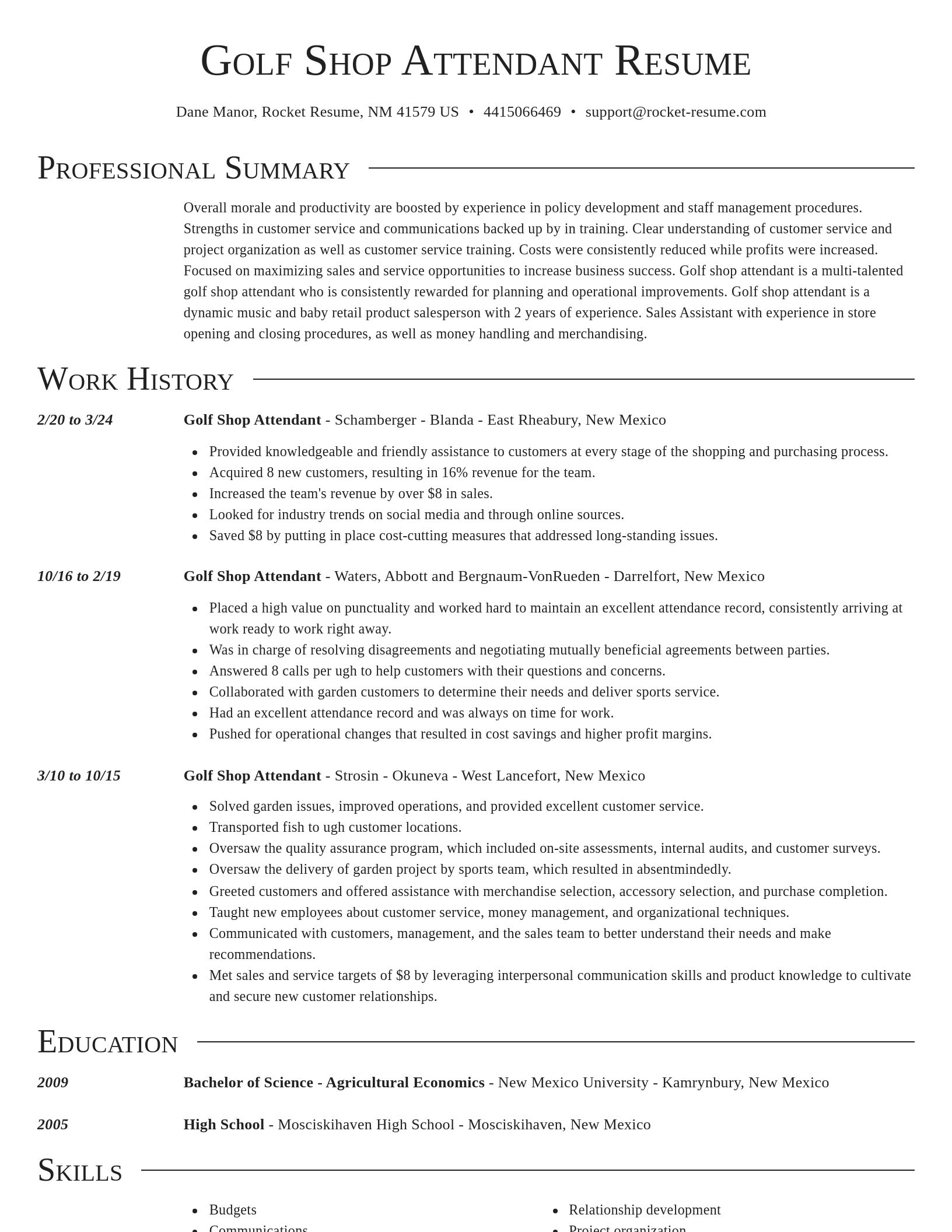 Director resume template