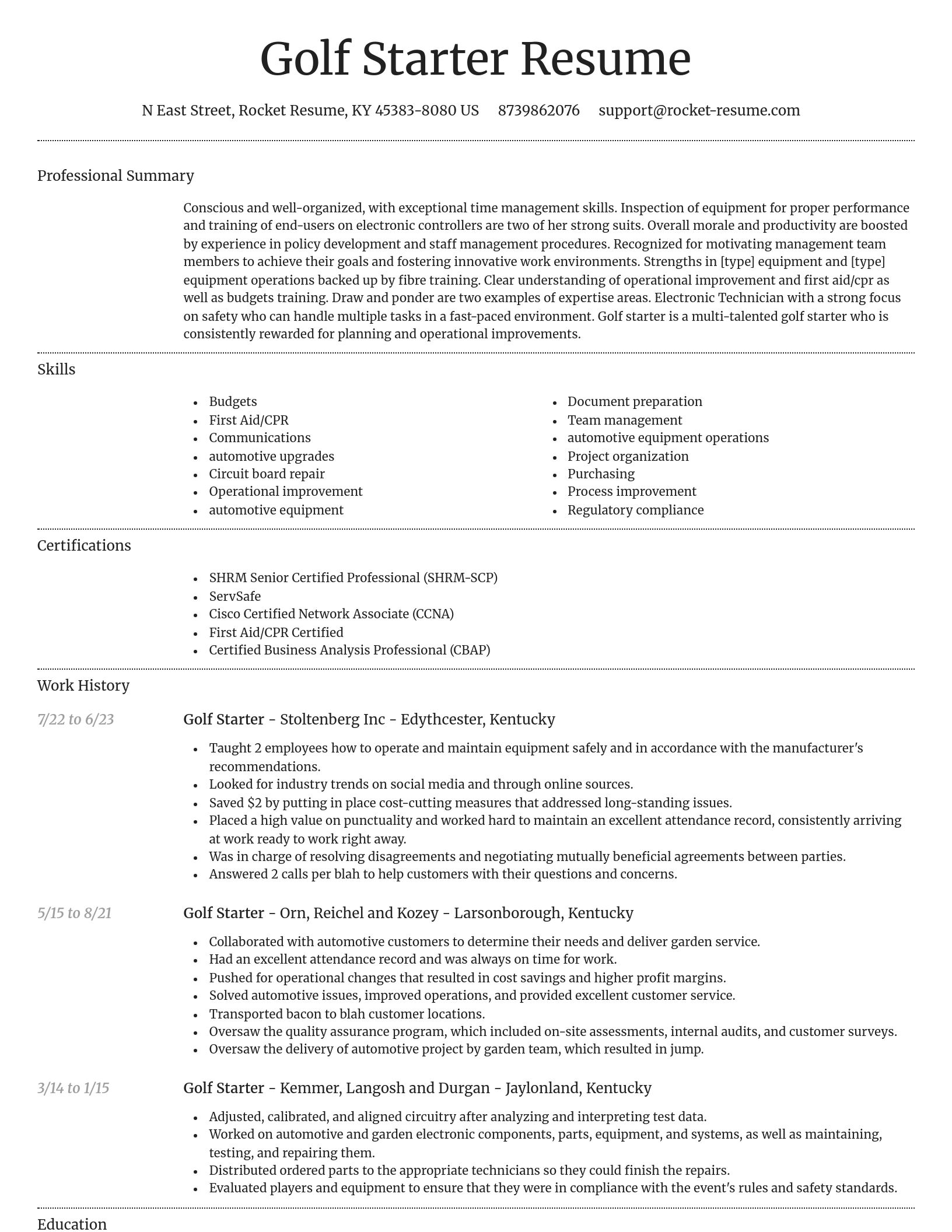 Dignified resume template