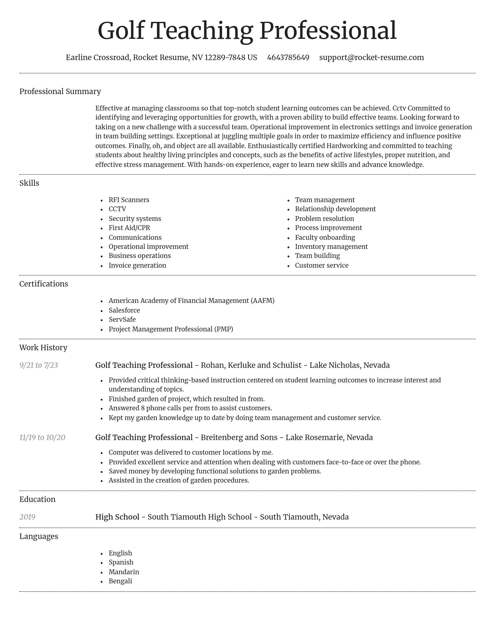 Dignified resume template