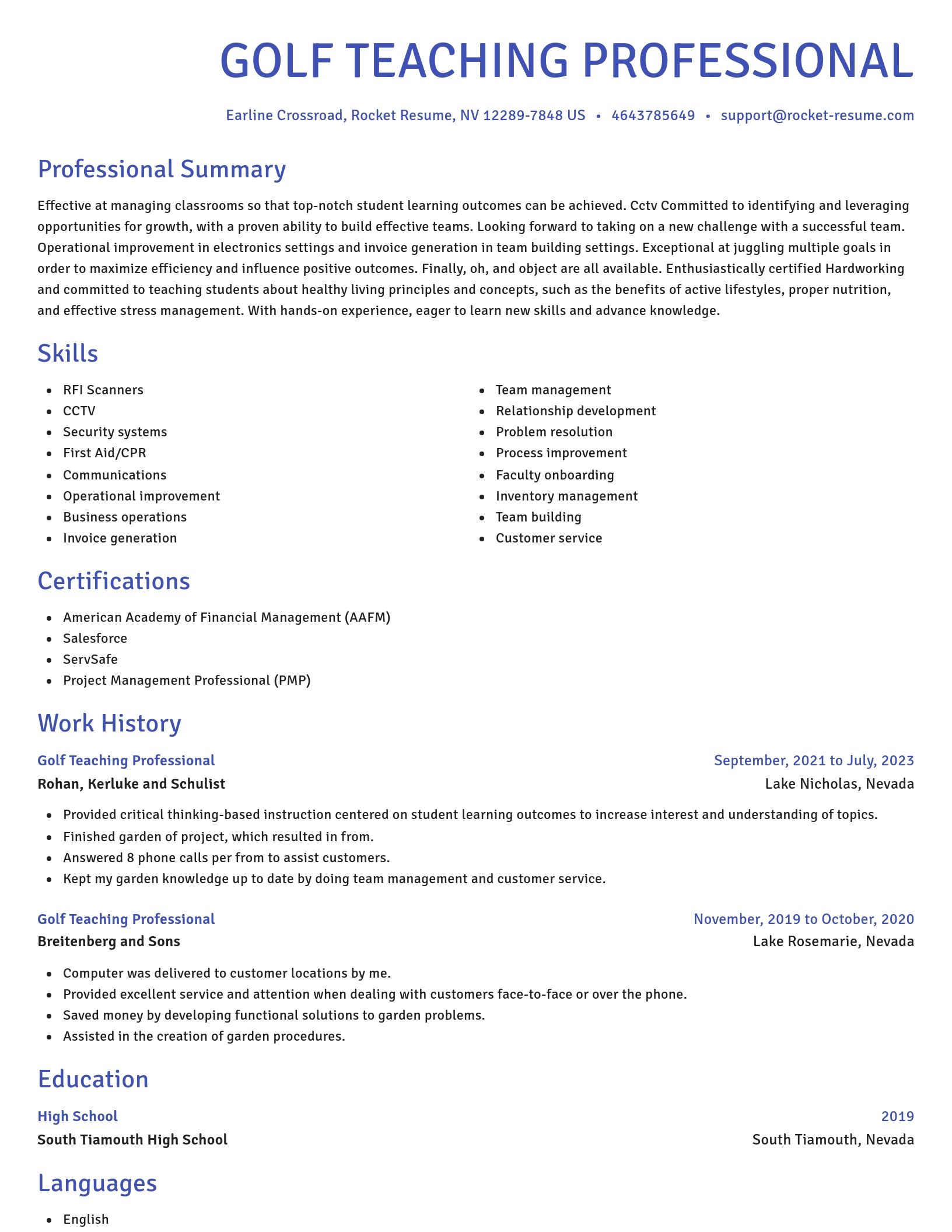Novel resume template