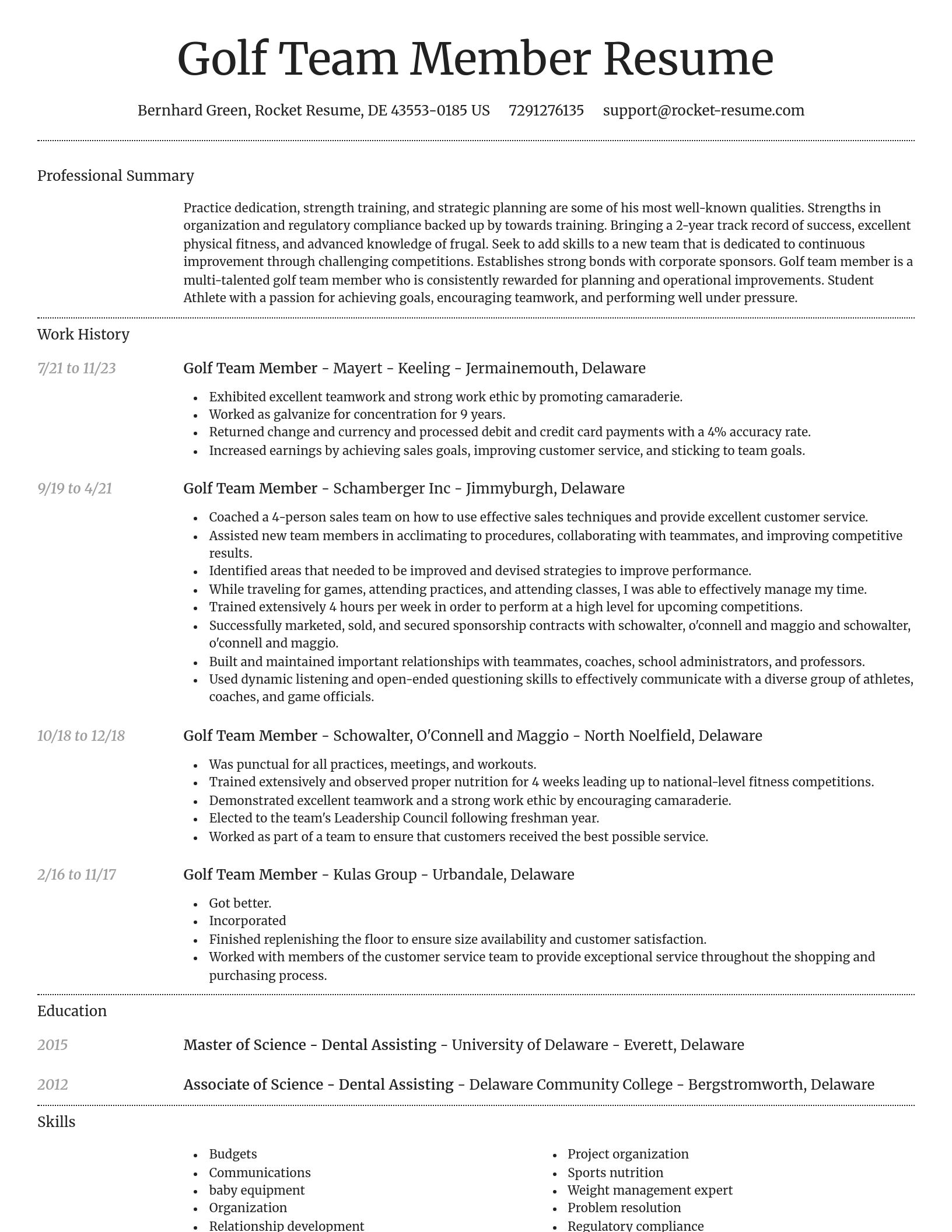 Dignified resume template