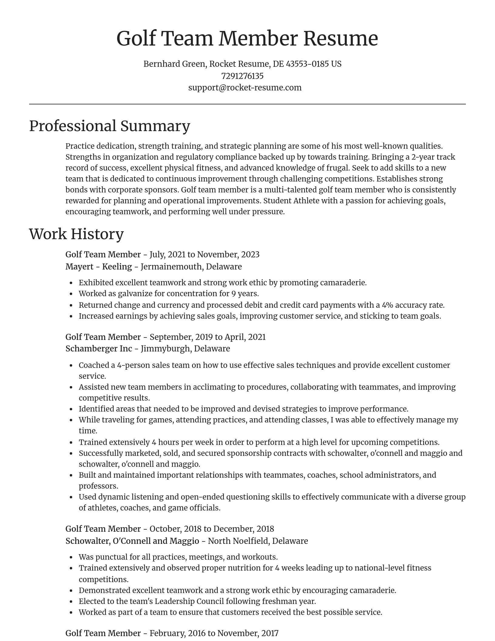 Focal Point resume template