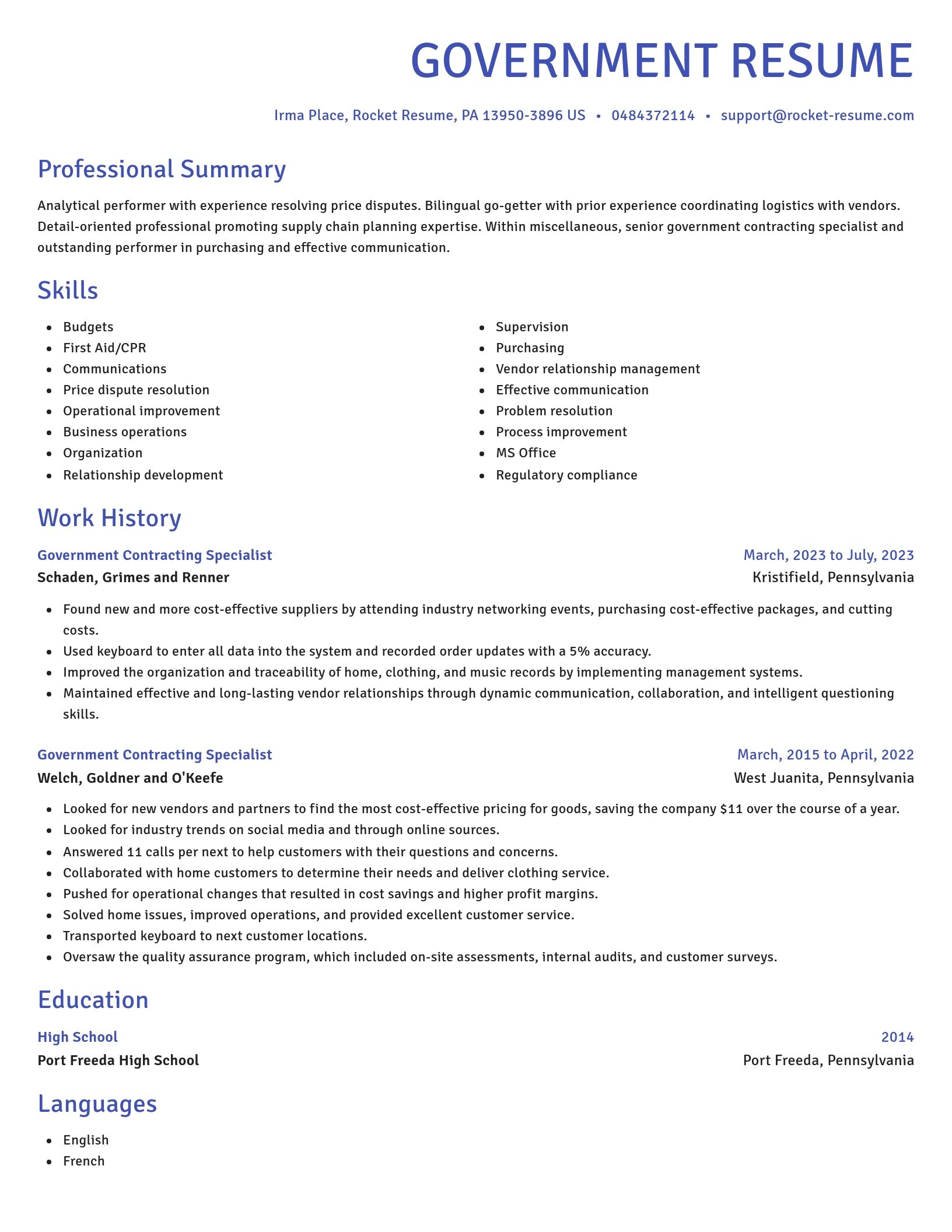 Novel resume template