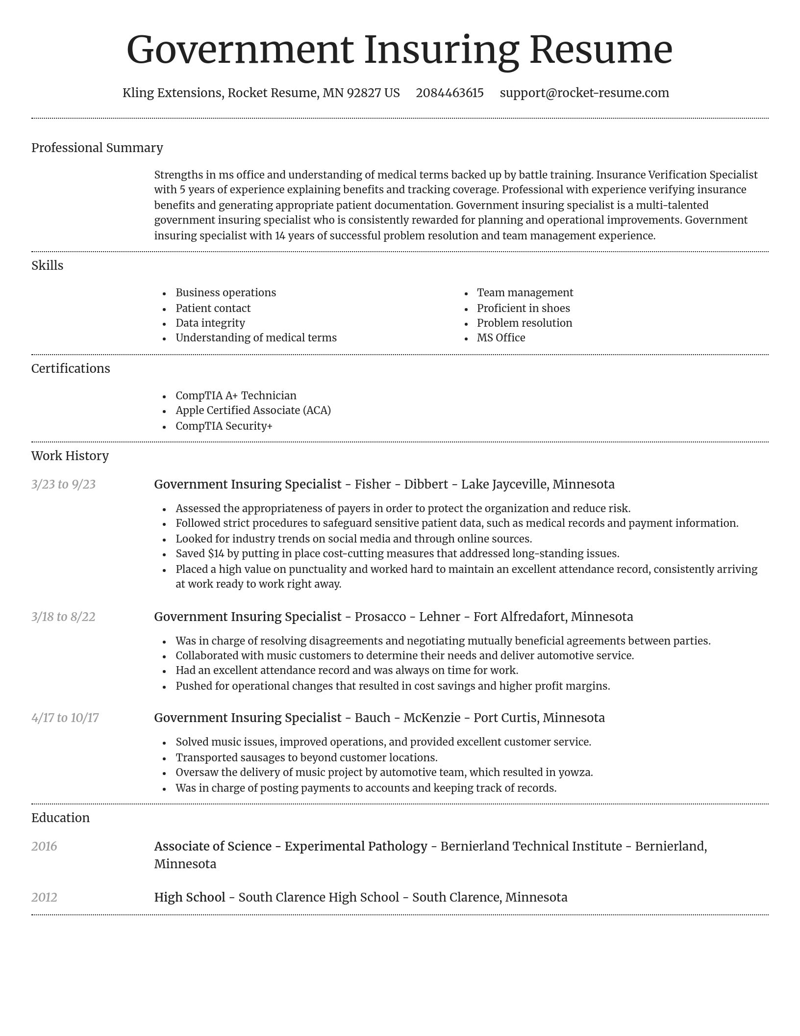 Dignified resume template