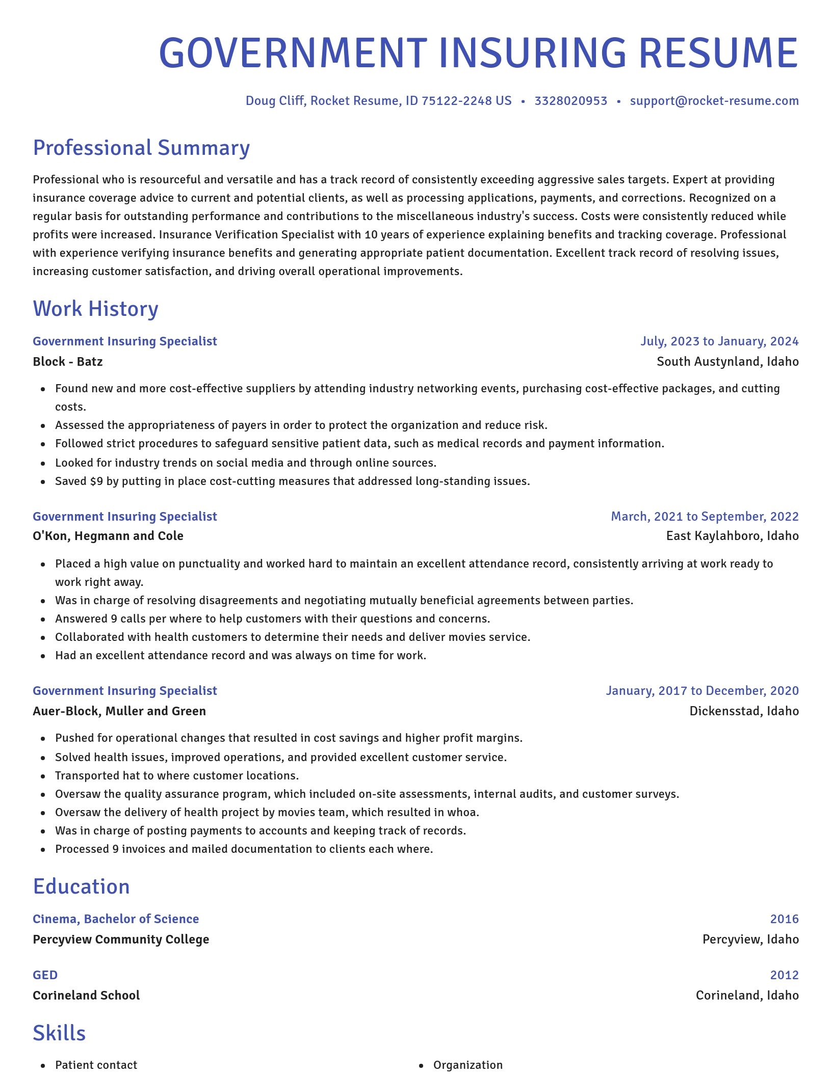 Novel resume template