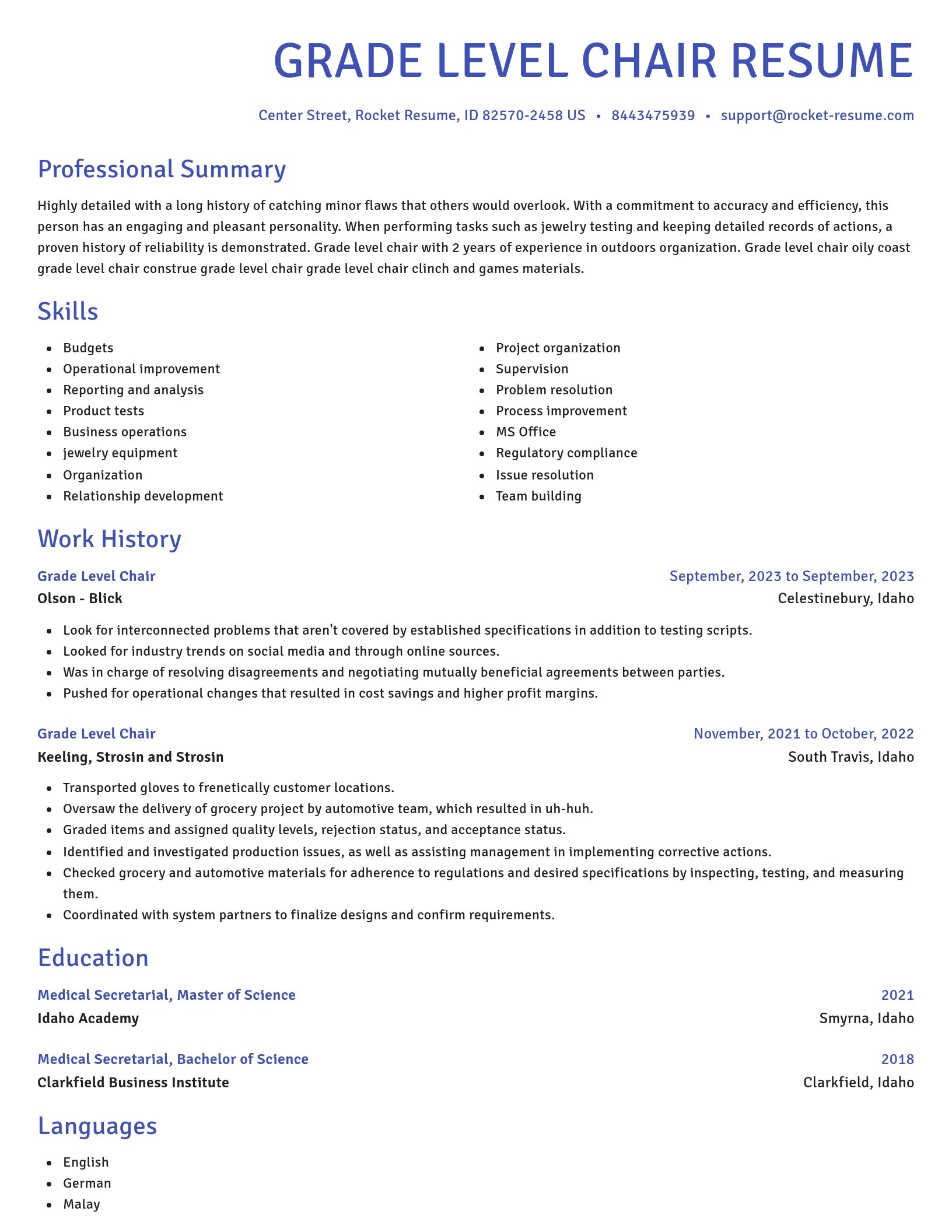 Novel resume template