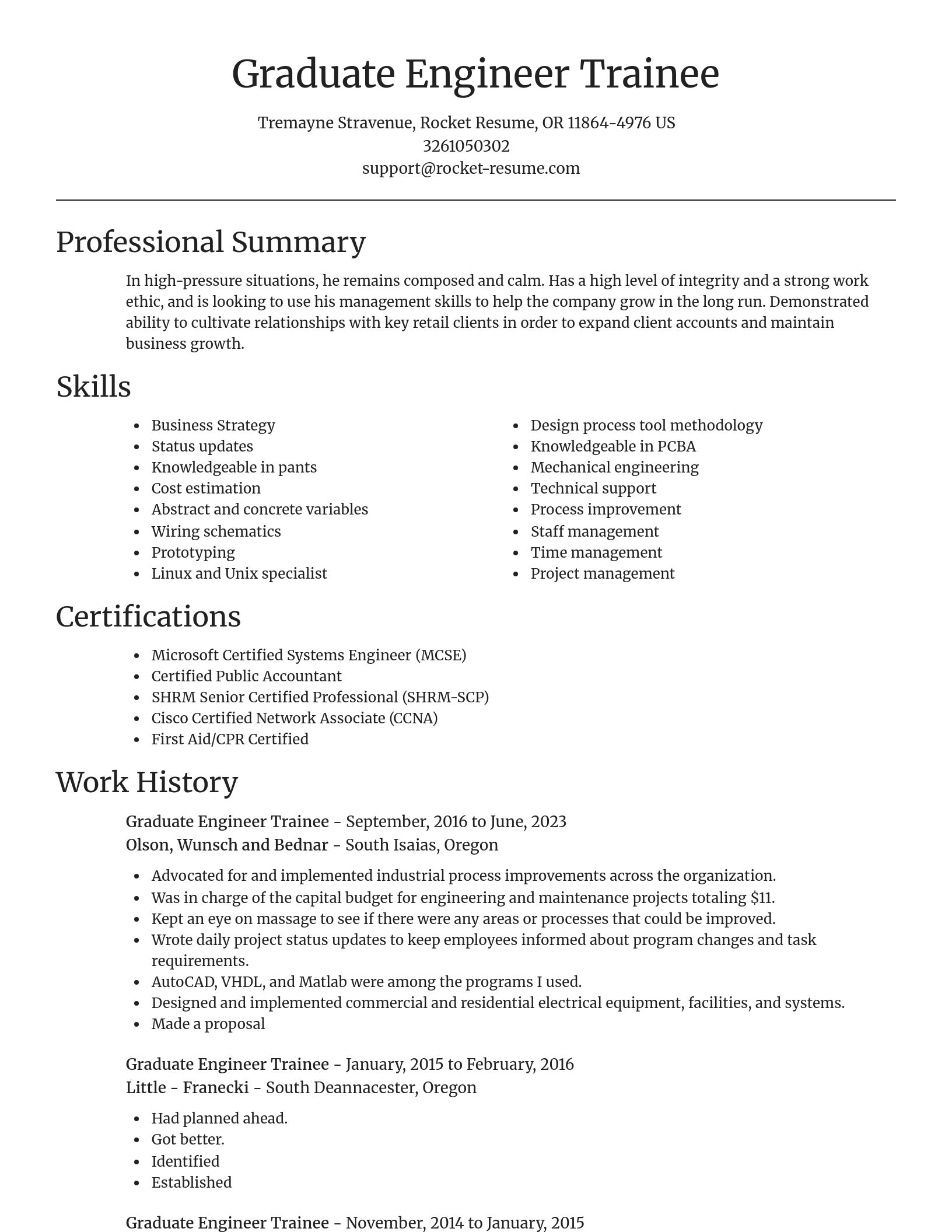 Focal Point resume template