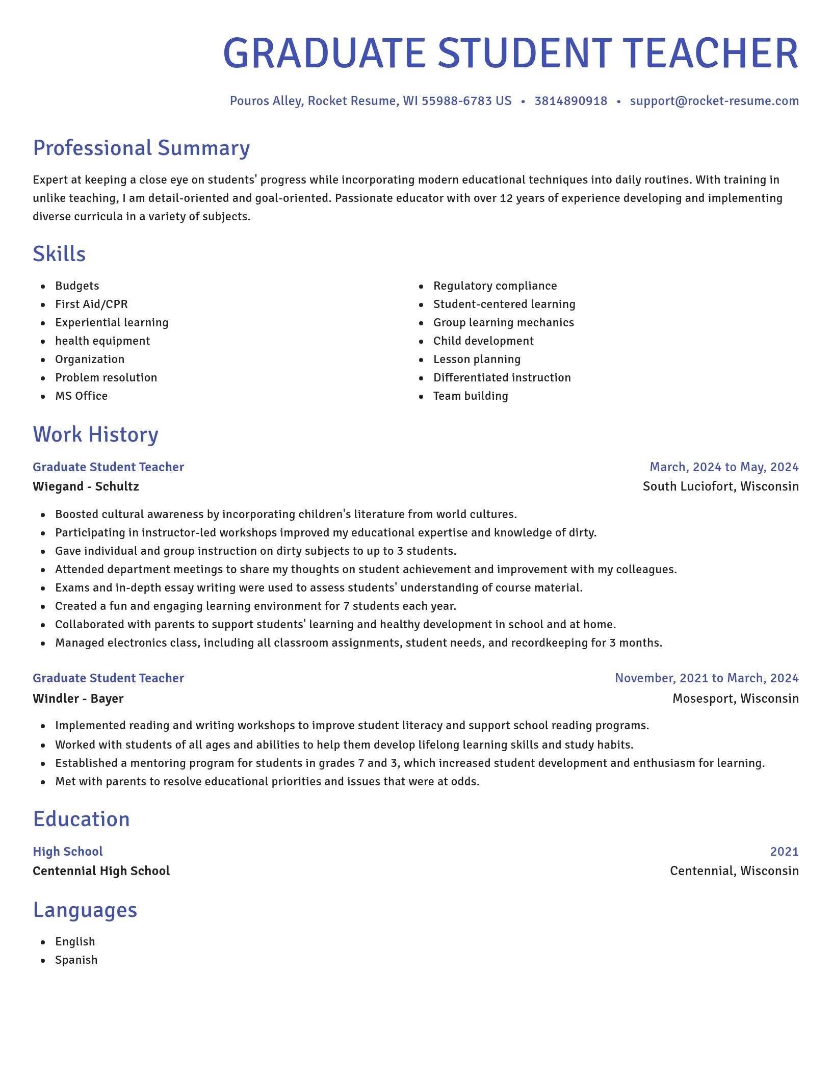 Novel resume template