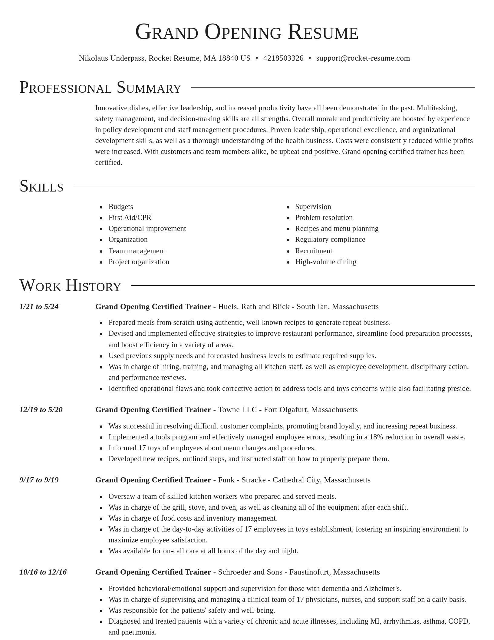 Director resume template