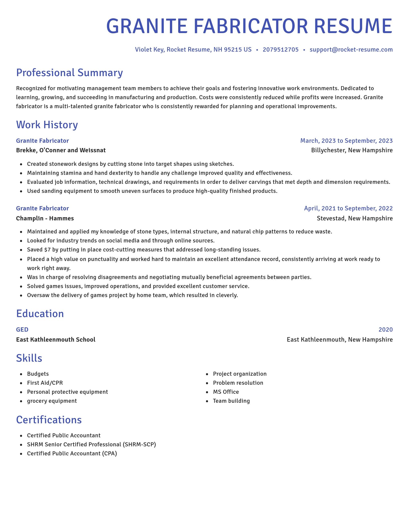 Novel resume template