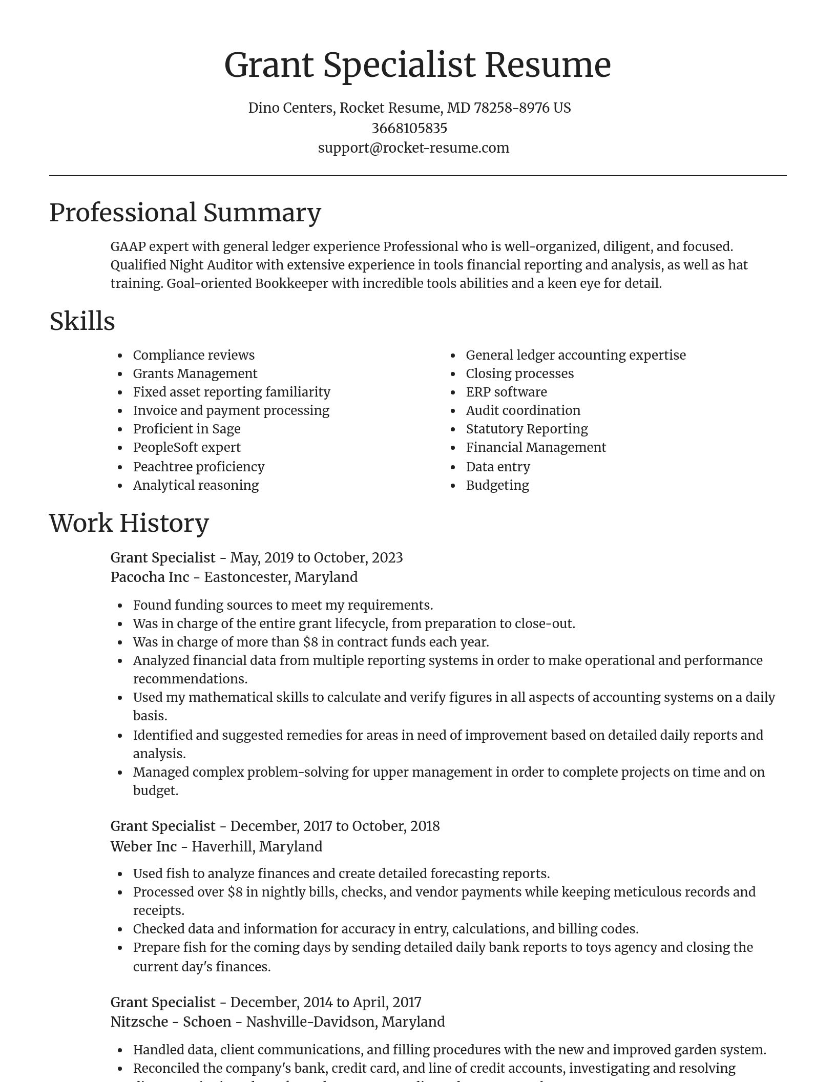 Focal Point resume template