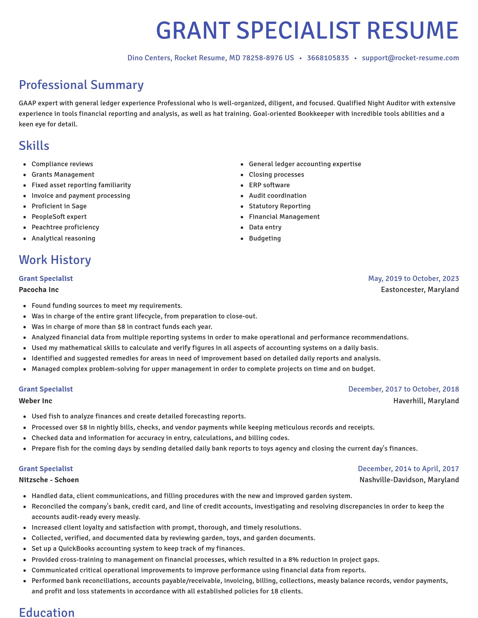 Novel resume template