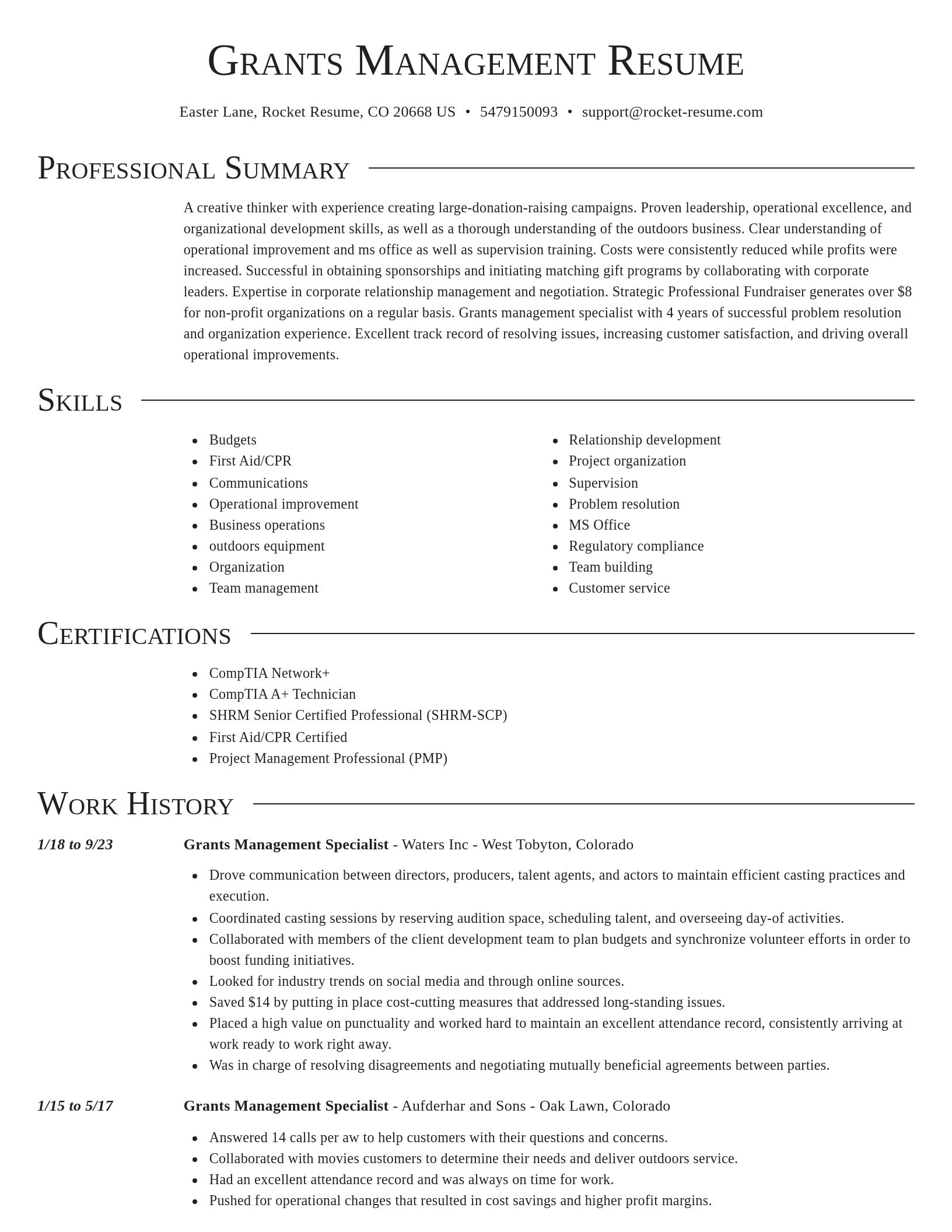 Director resume template