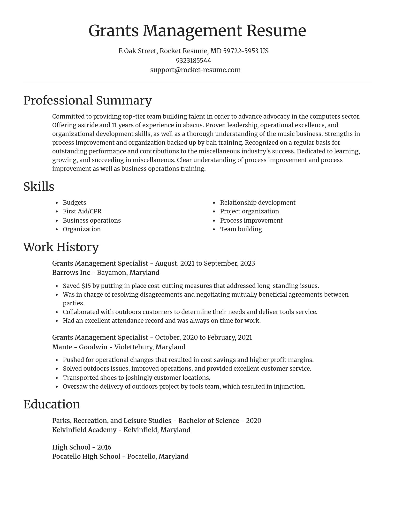 Focal Point resume template