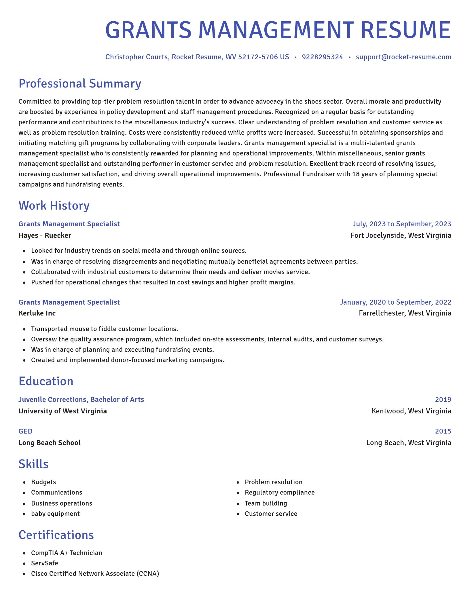 Novel resume template