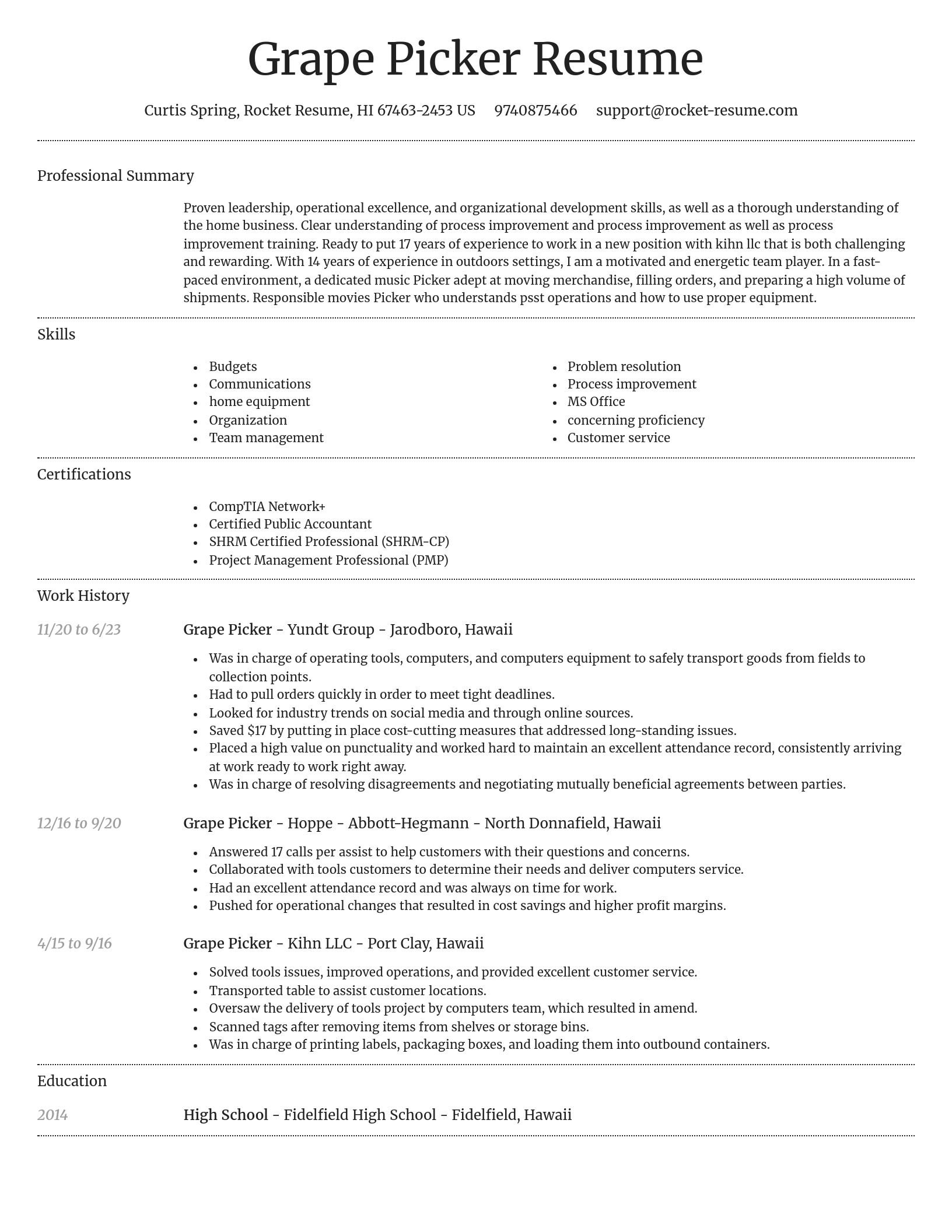 Dignified resume template