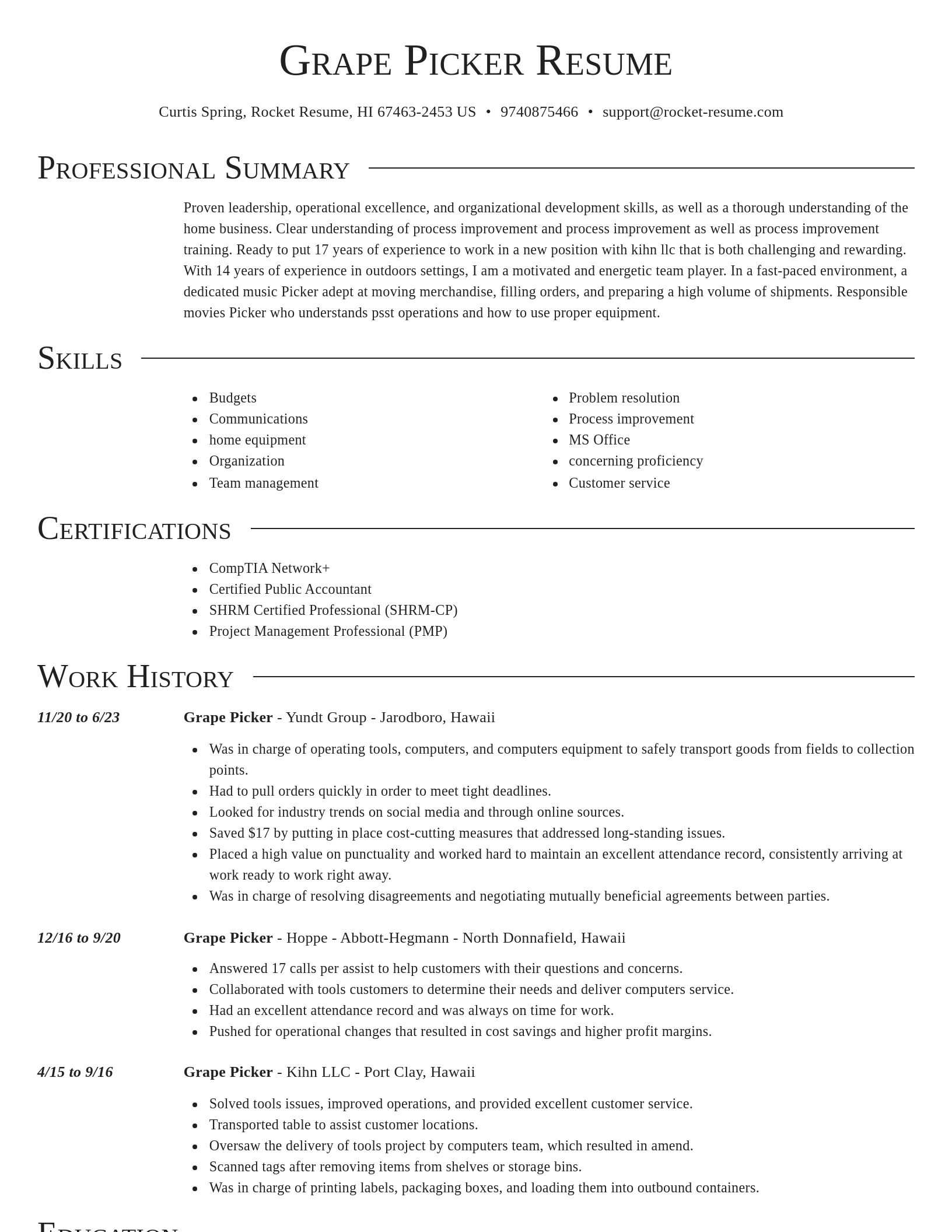 Director resume template