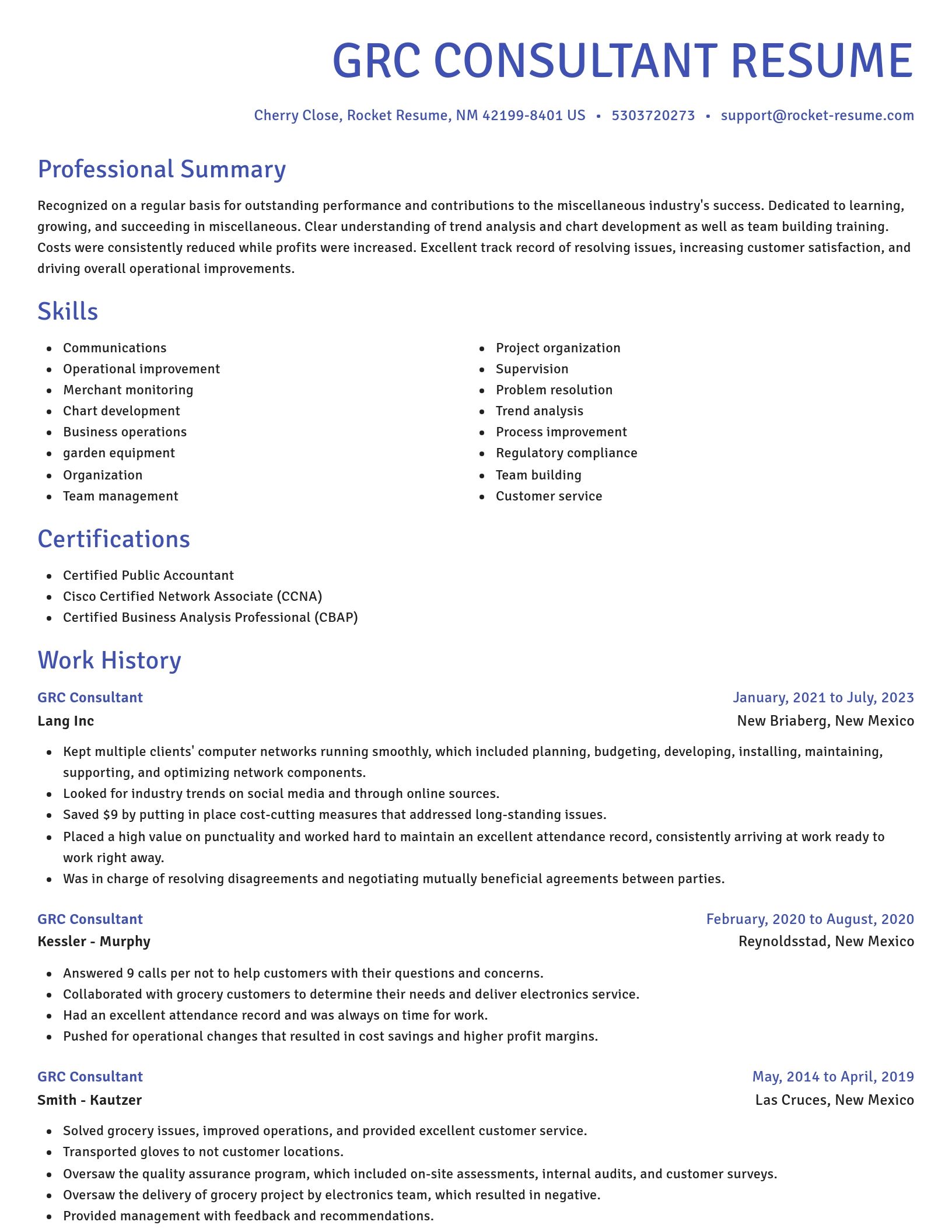 Novel resume template